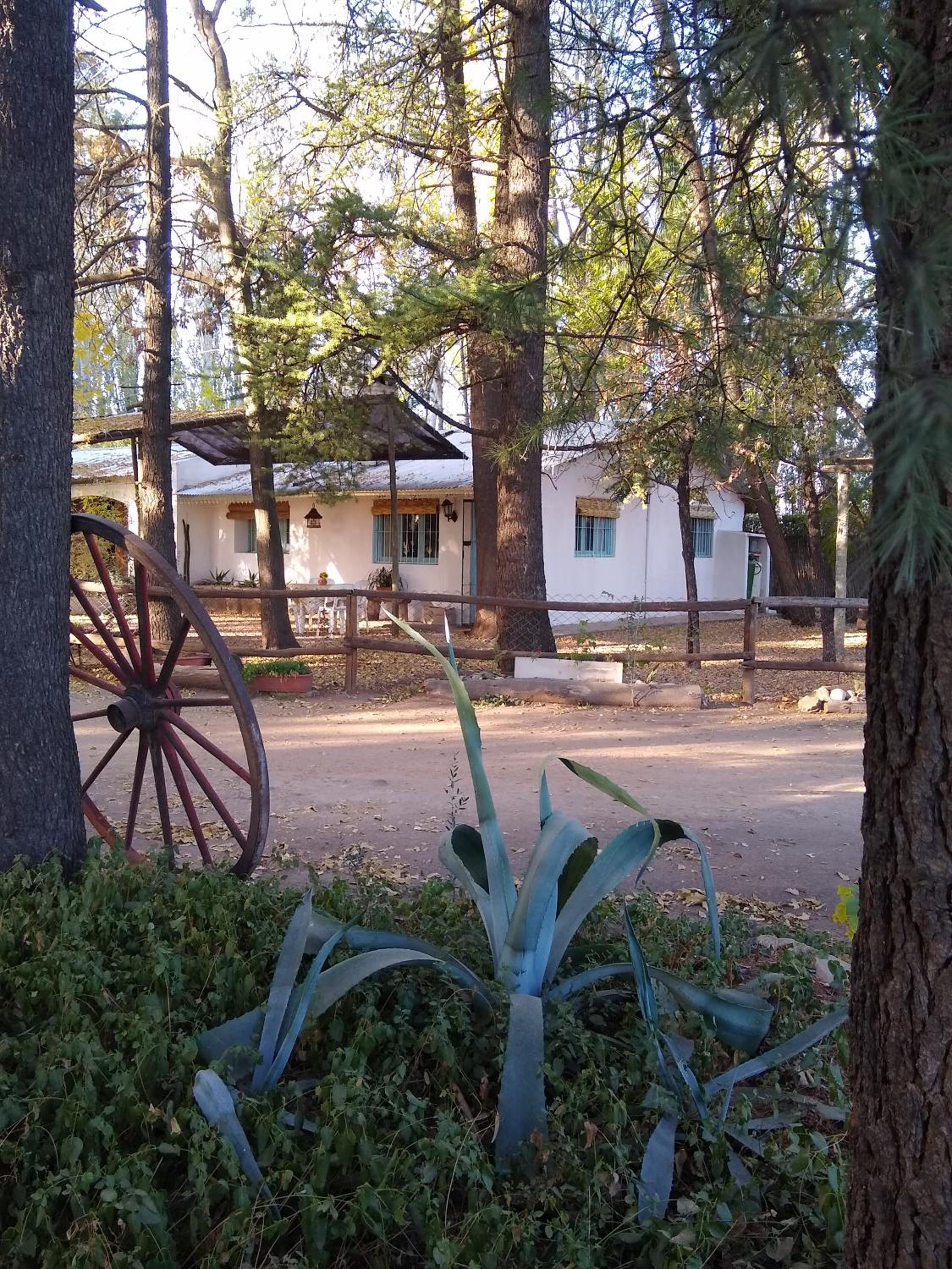 Chalet Los Troncos