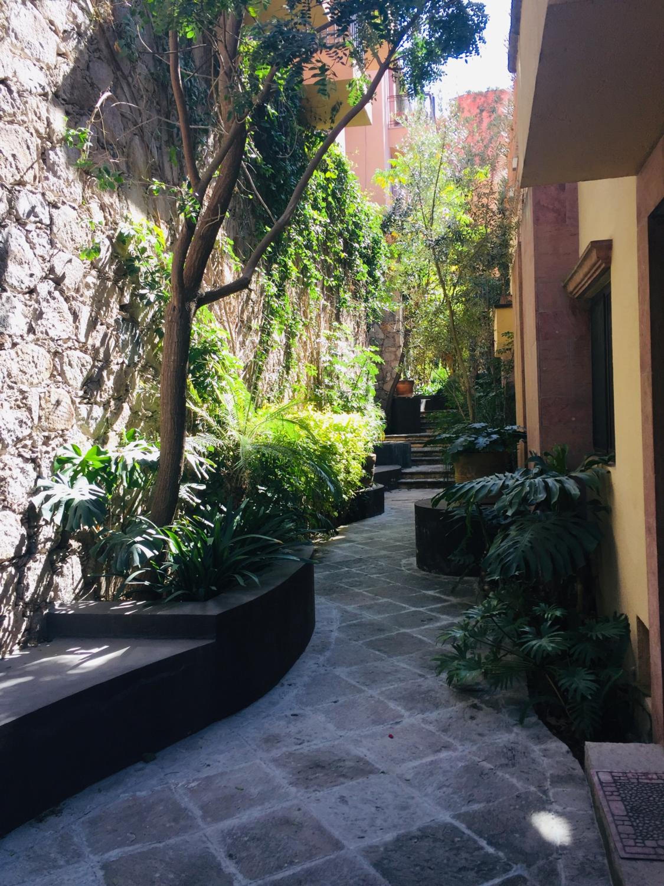 Photo 6