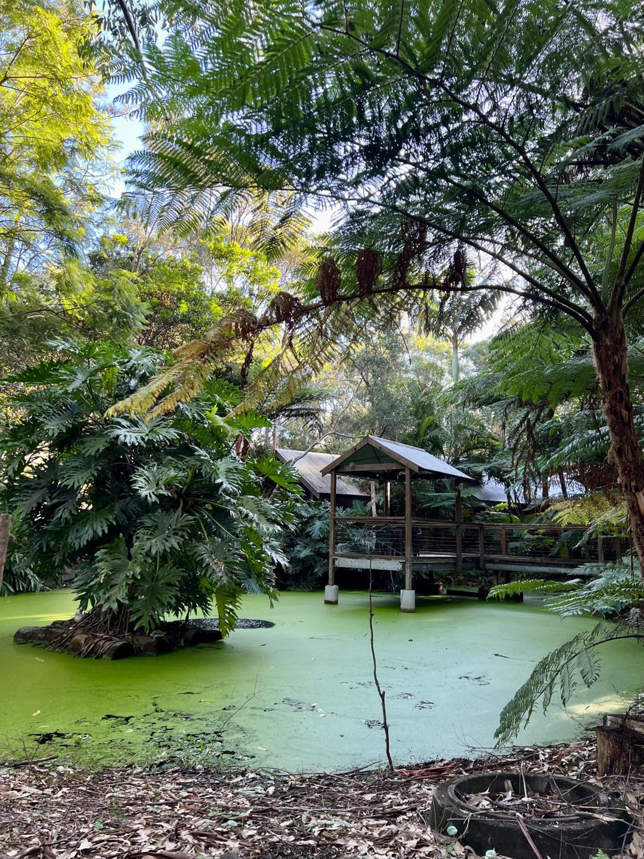 The Oasis at One Mile Beach