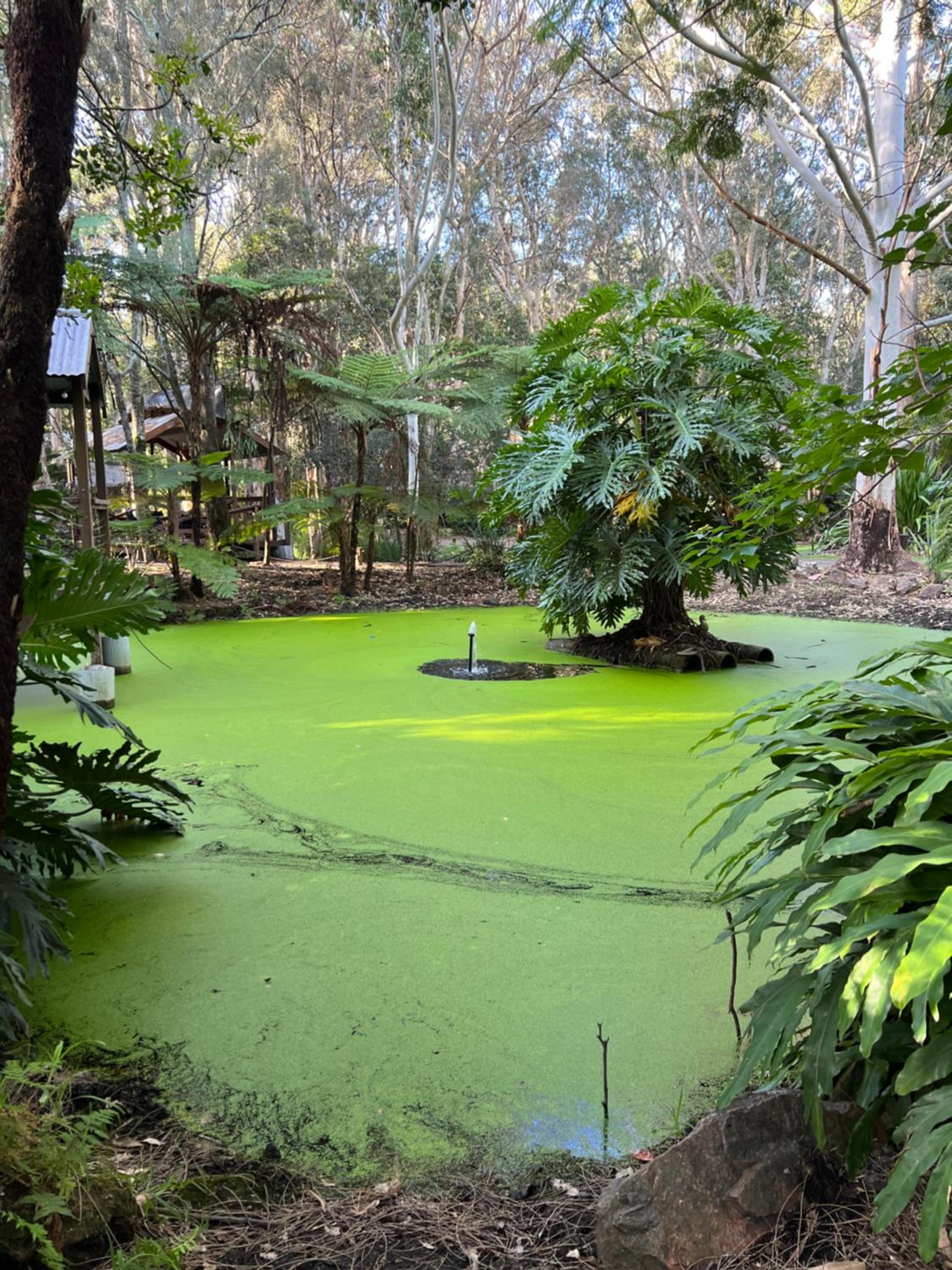 The Oasis at One Mile Beach