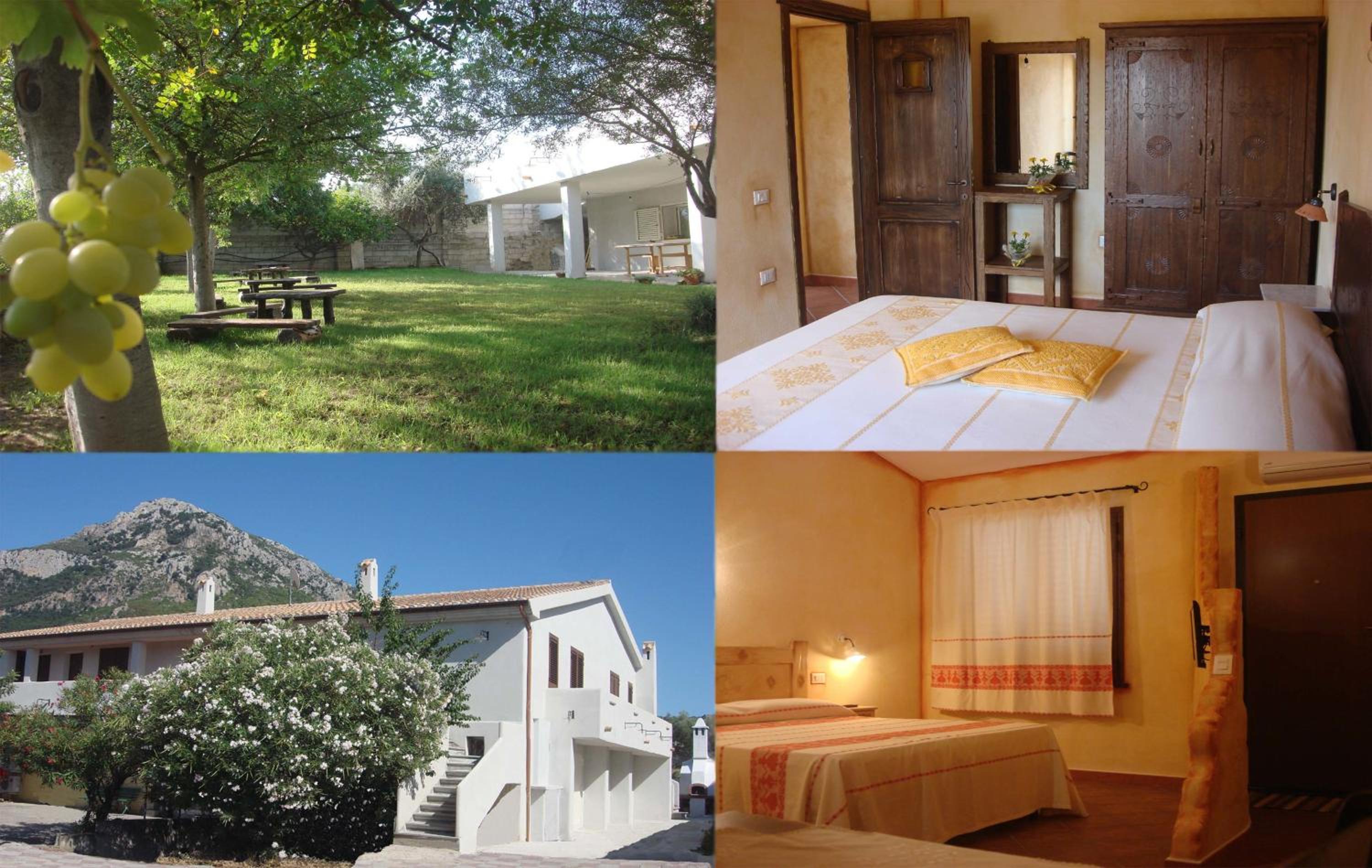 Grazia Deledda photo 5