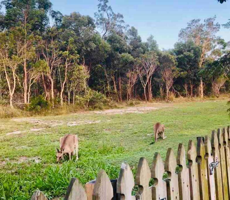 Sandstone Point Holiday Home