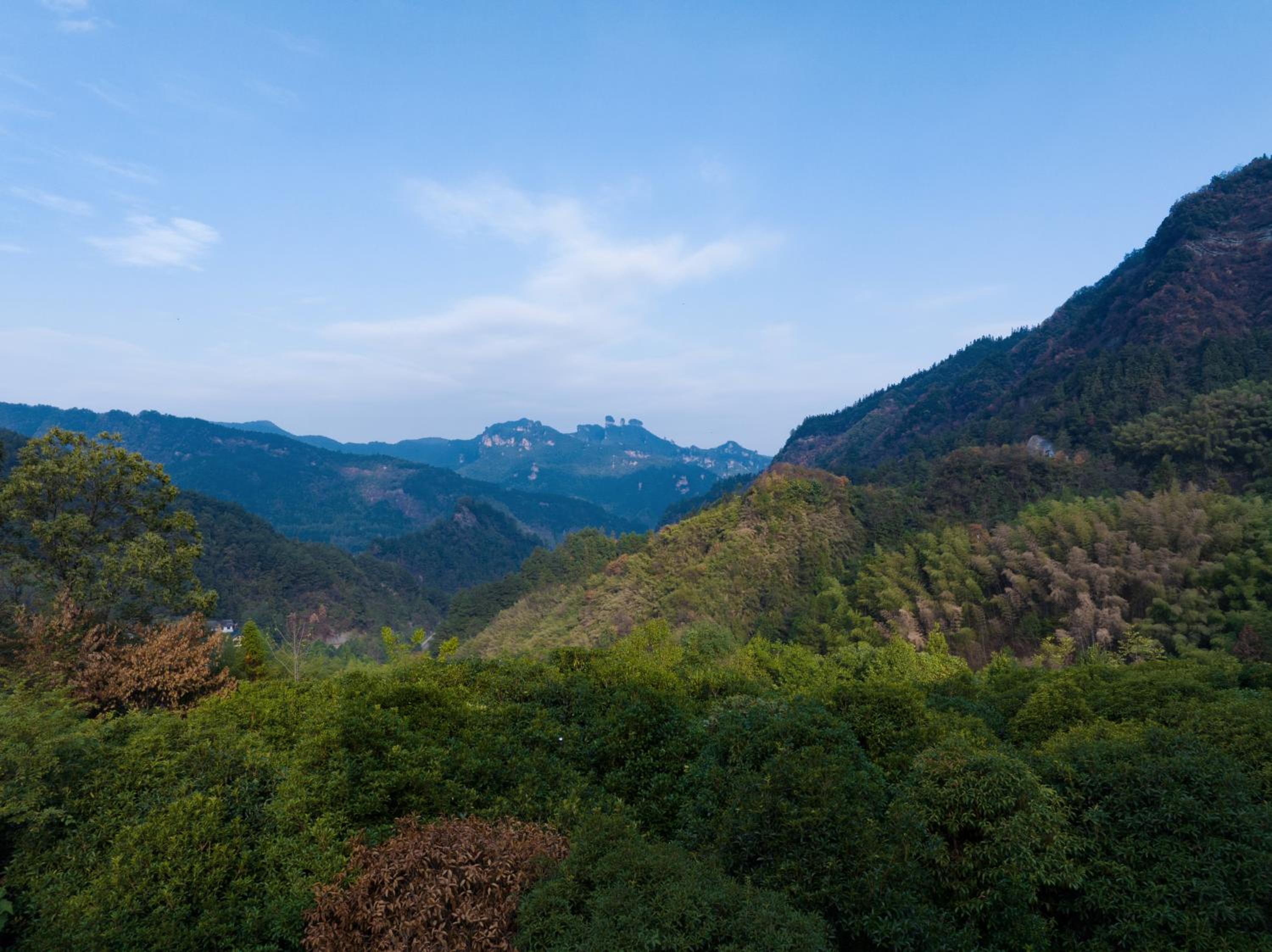 Serenity Valley - Zhangjiajie National Forest Park