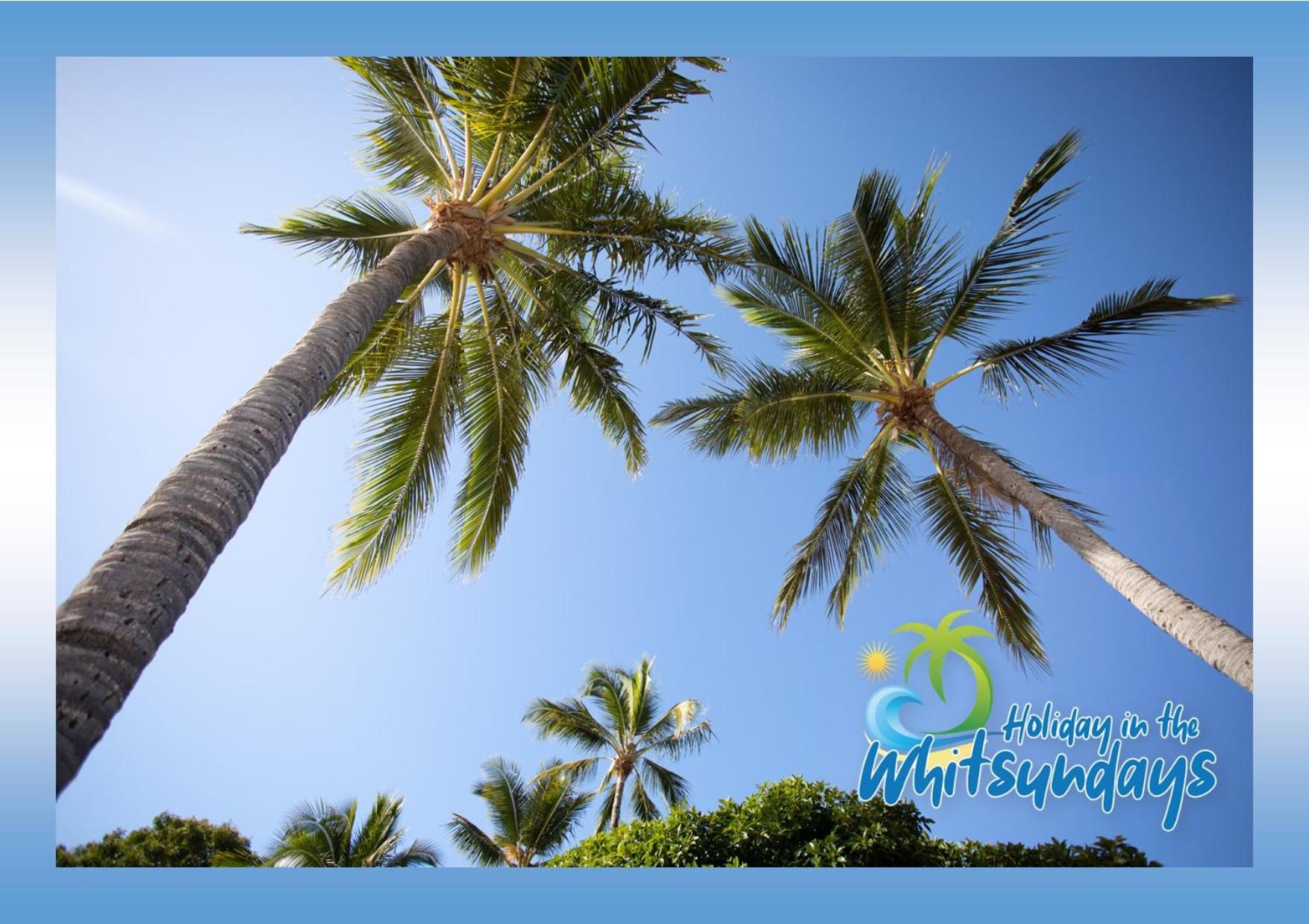 Ocean View 16A Studio Pool & Spa Wi-Fi KIDS STAY FREE