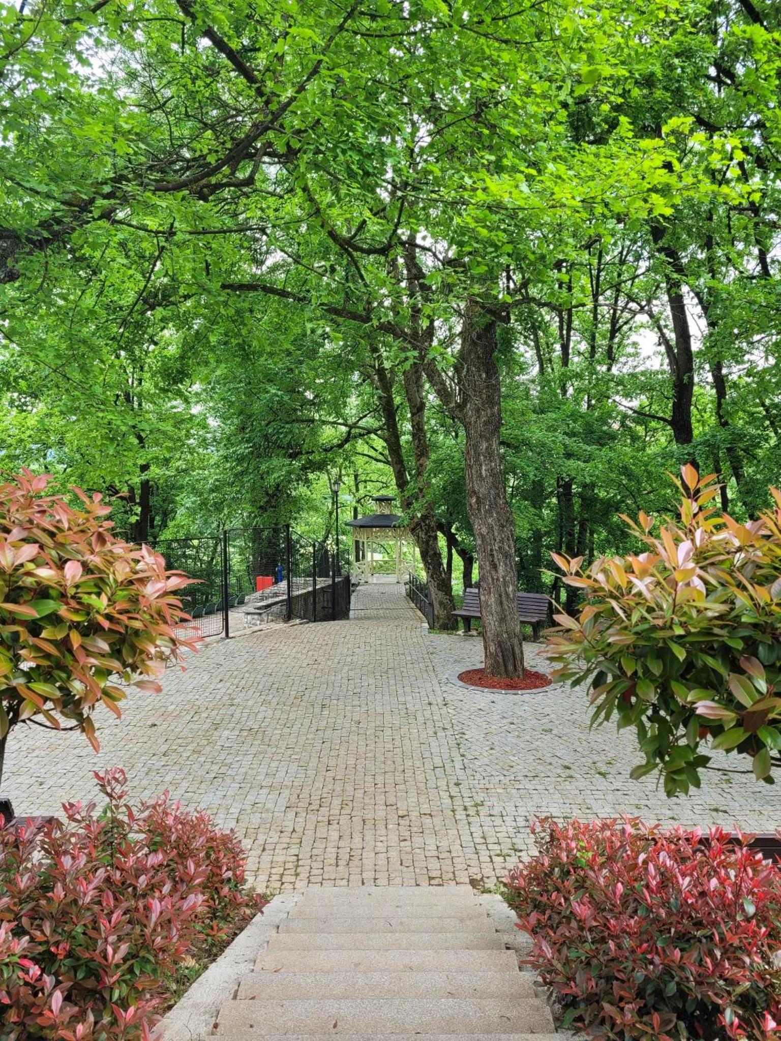 Apartman Ruža view 4