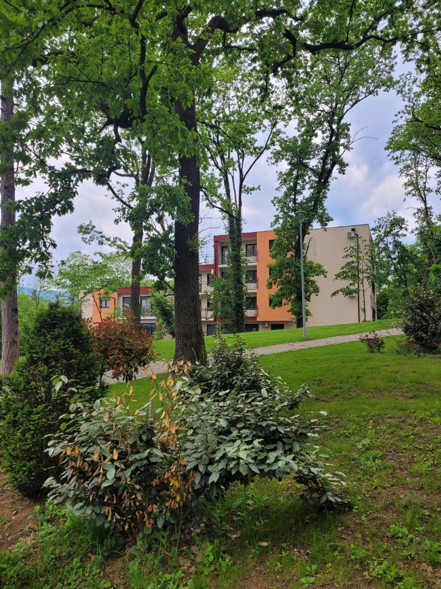 Apartman Ruža view 2