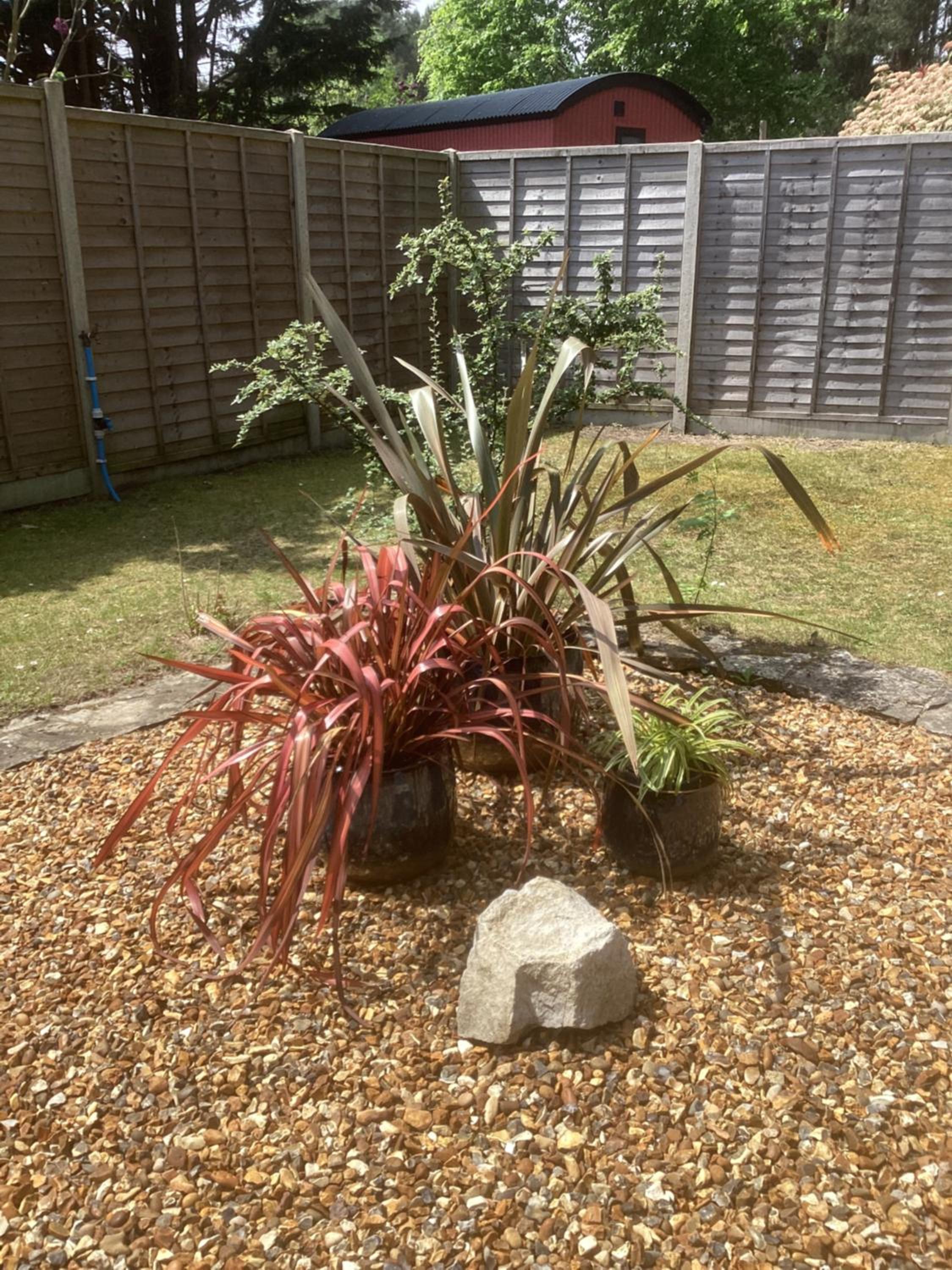 Photo 26
