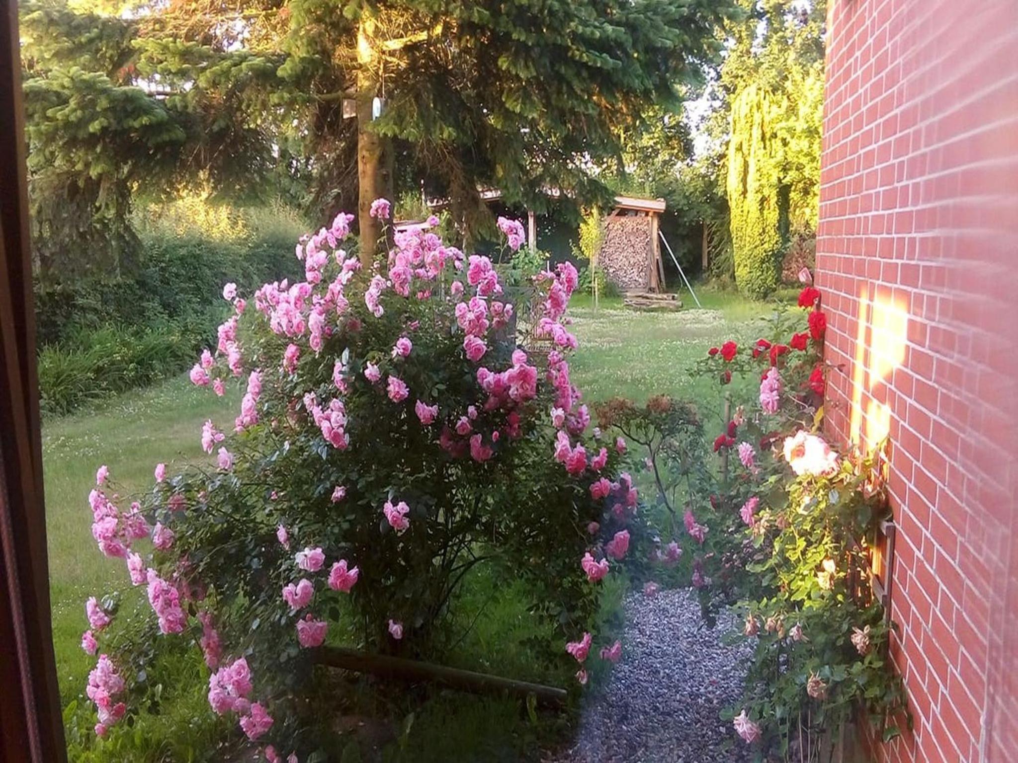 Familienoase Flensburger Förde