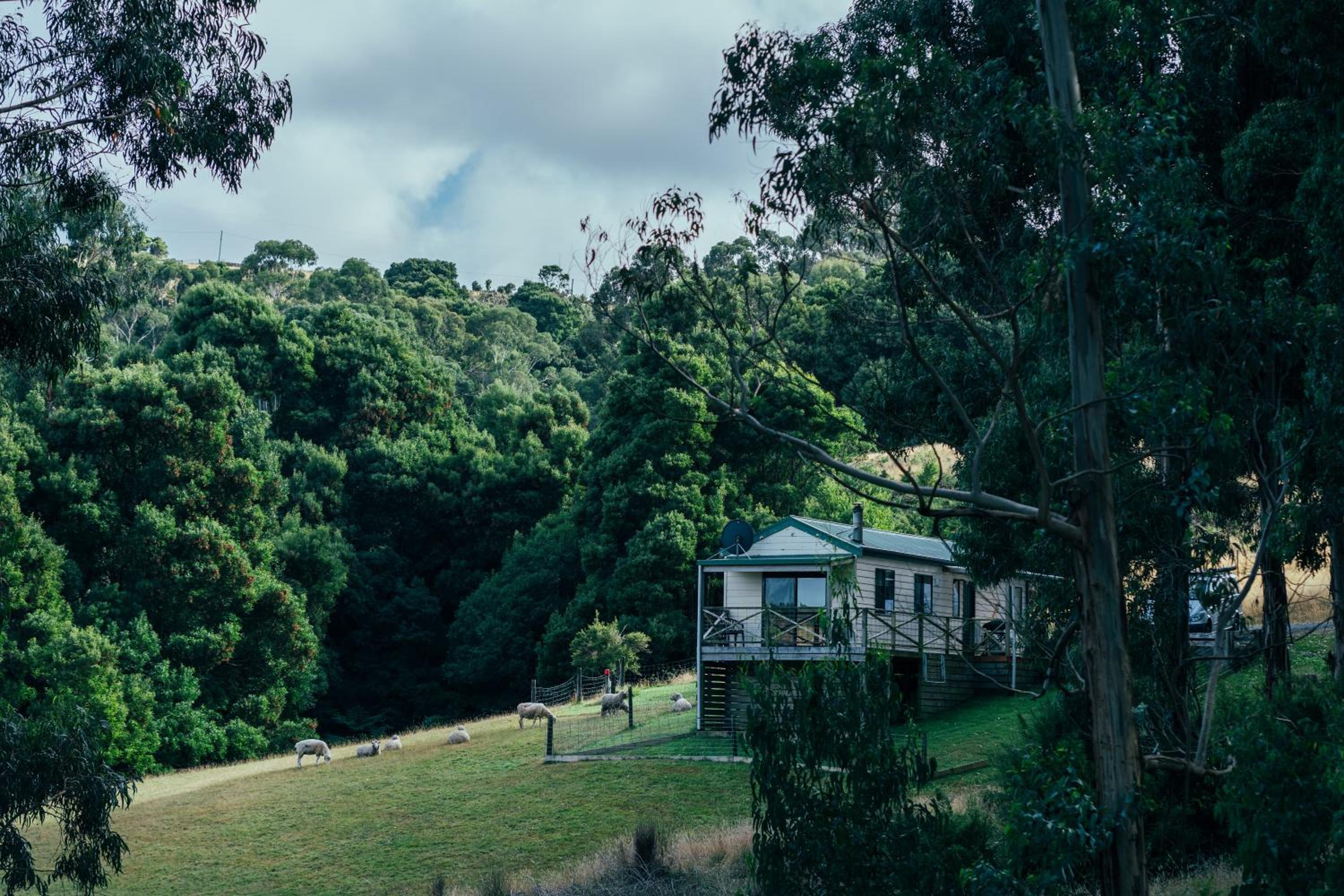 Johanna River Farm & Cottages