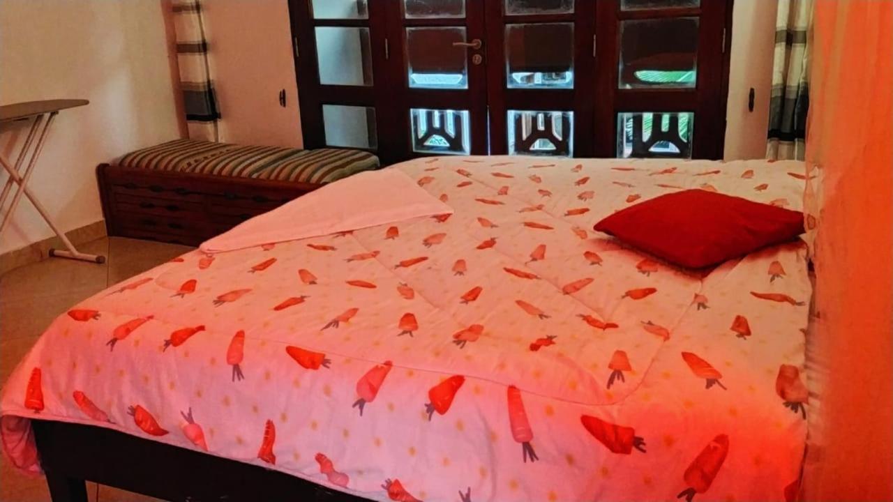 Lux Suites Lamera Beachfront Apartments