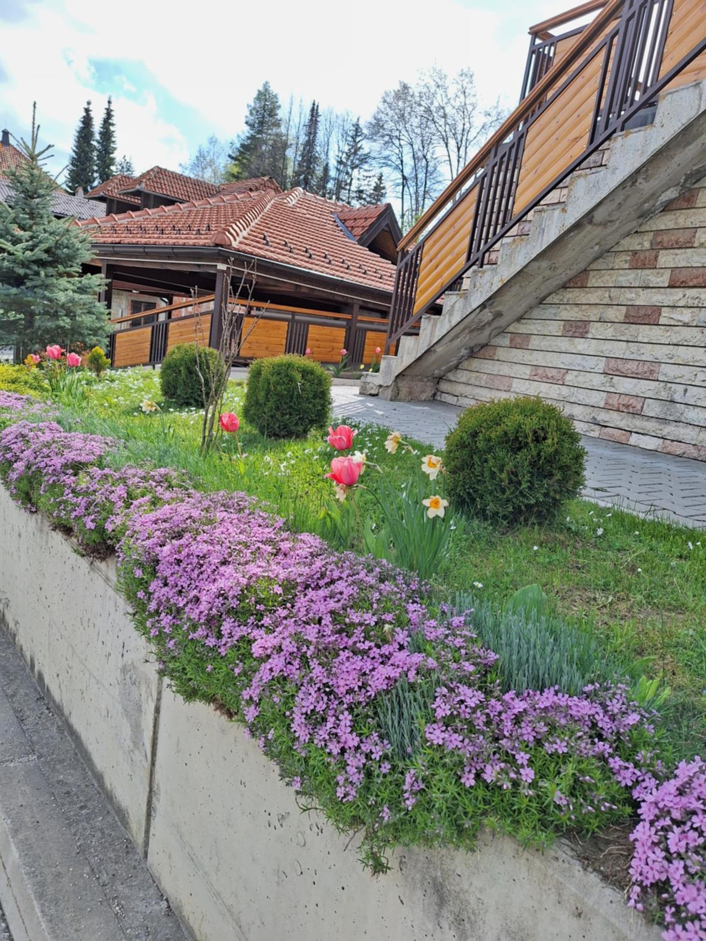 Photo 7