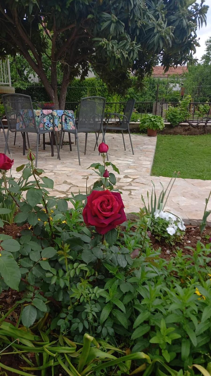Villa Vinka view 2