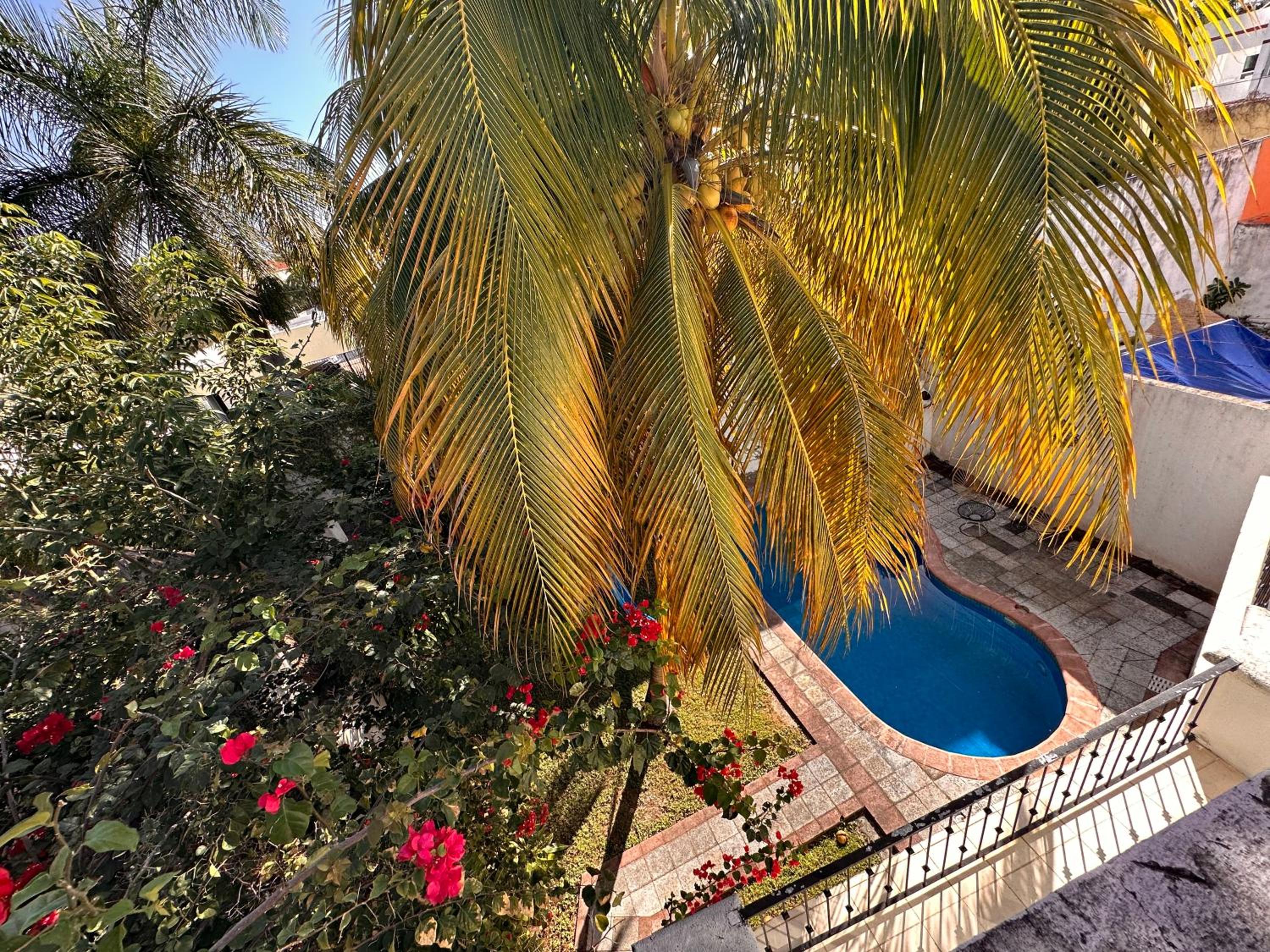 BEAUTIFUL & COZY NEAR BEACH Apartment Pool & KingSize Bed
