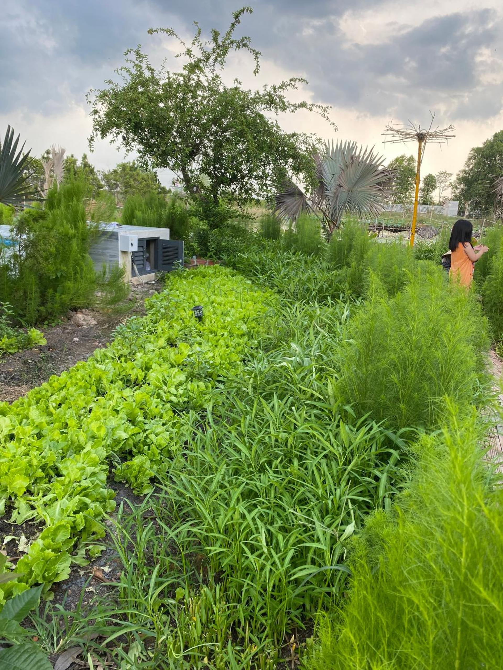 LA'S FARMSTAY