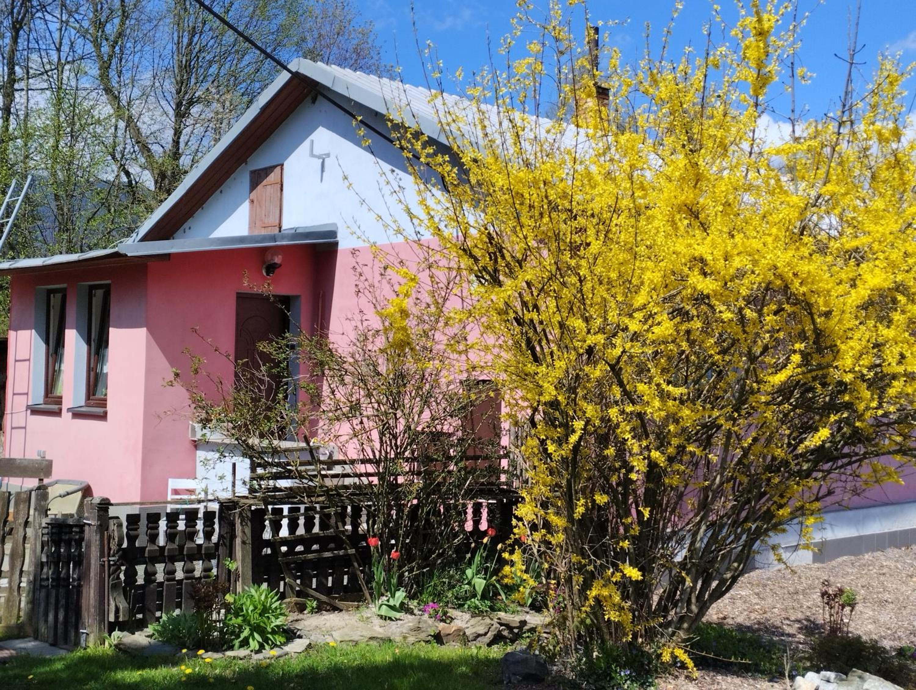 Štempel Karol , Bělá pod Pradědem, Domašov 412