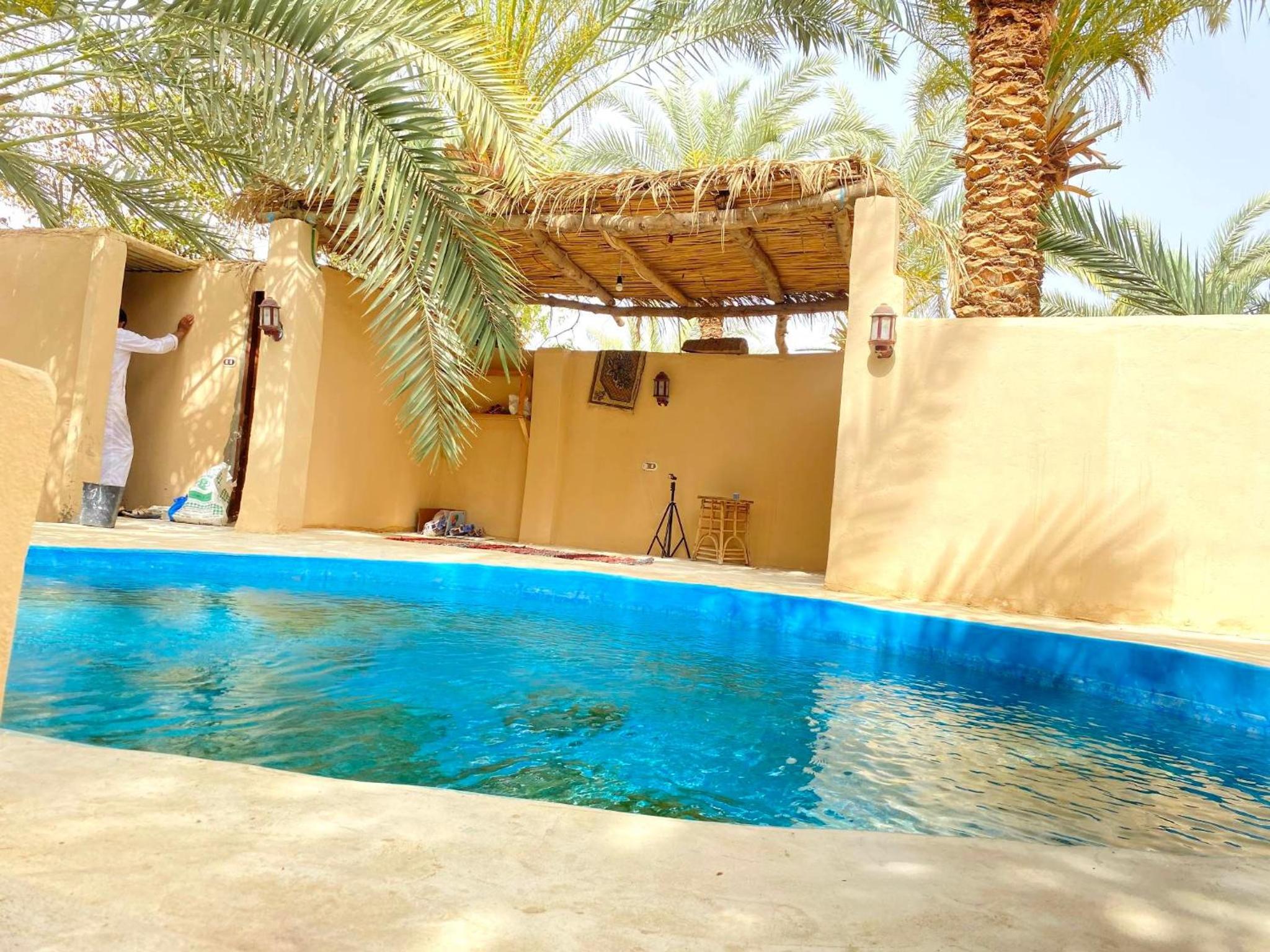 Forest Camp Siwa - كامب الغابة