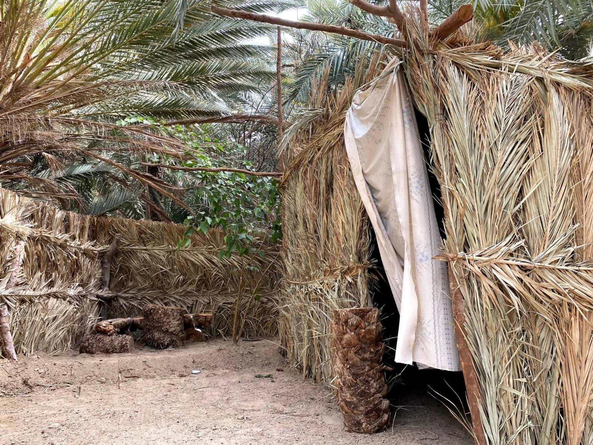 Forest Camp Siwa - كامب الغابة