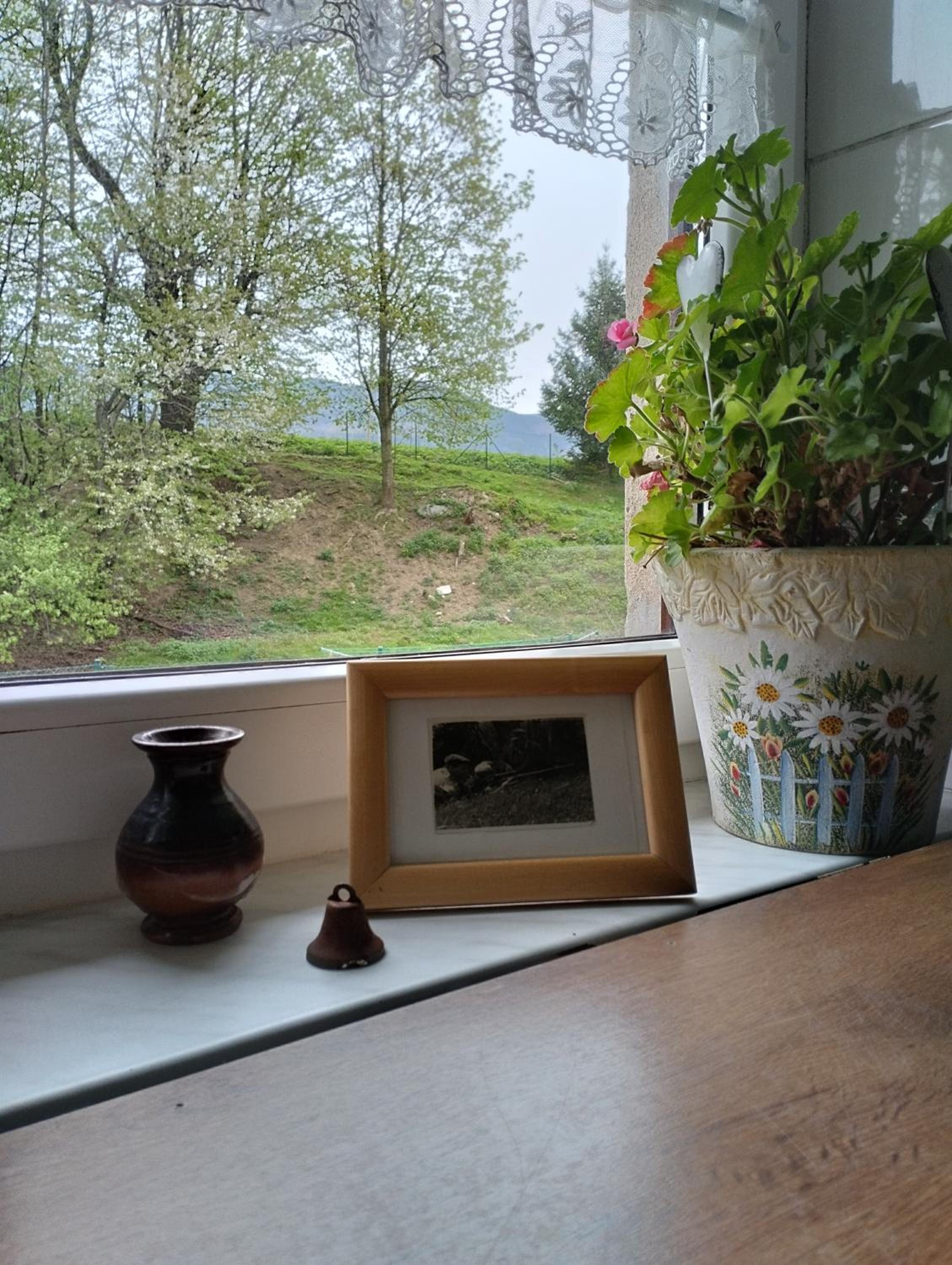 Štempel Karol , Bělá pod Pradědem, Domašov 412