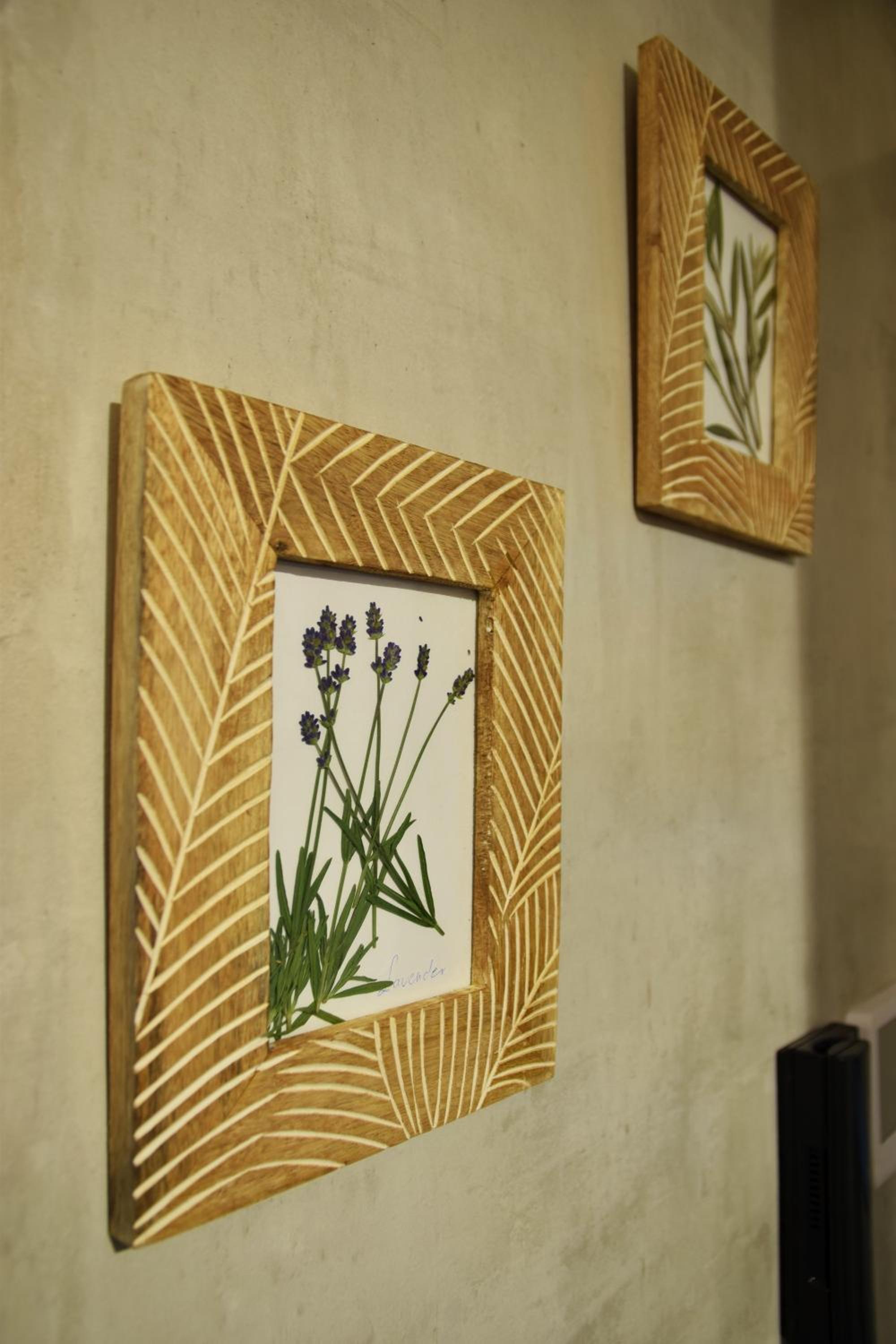 Olive Apartman
