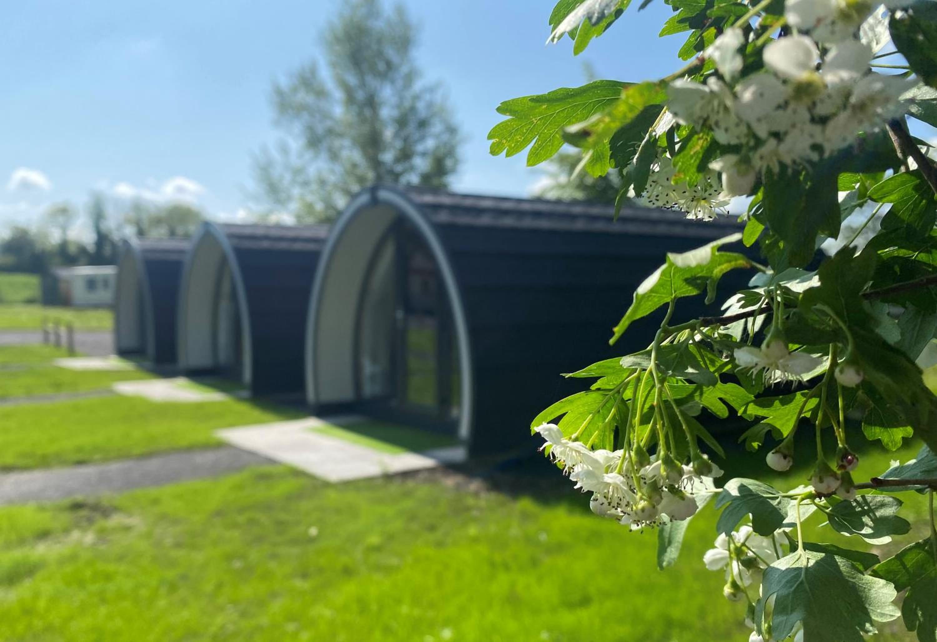 Glamping at Share Discovery Village
