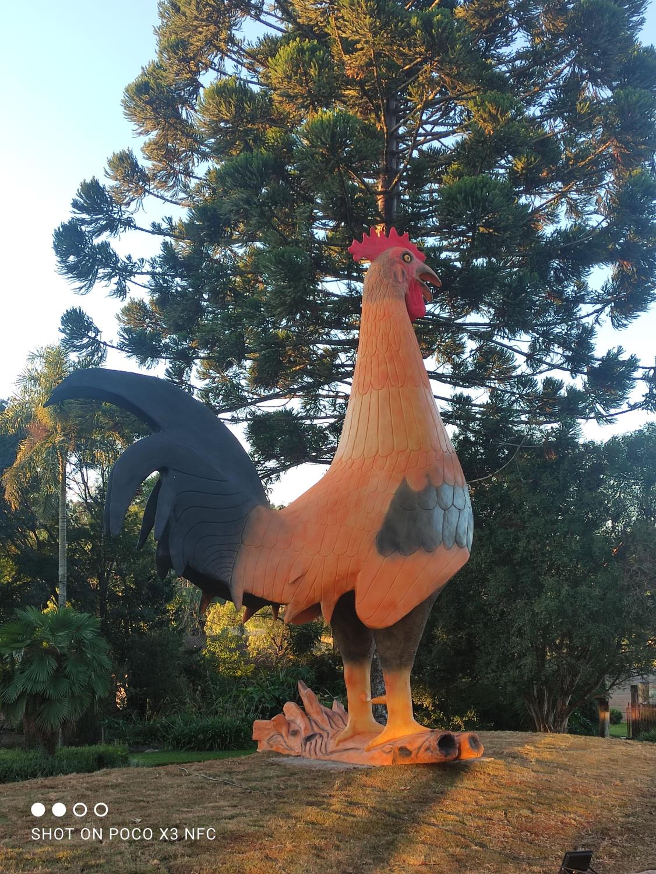 Hotel e Camping Espaço Verde Pousada