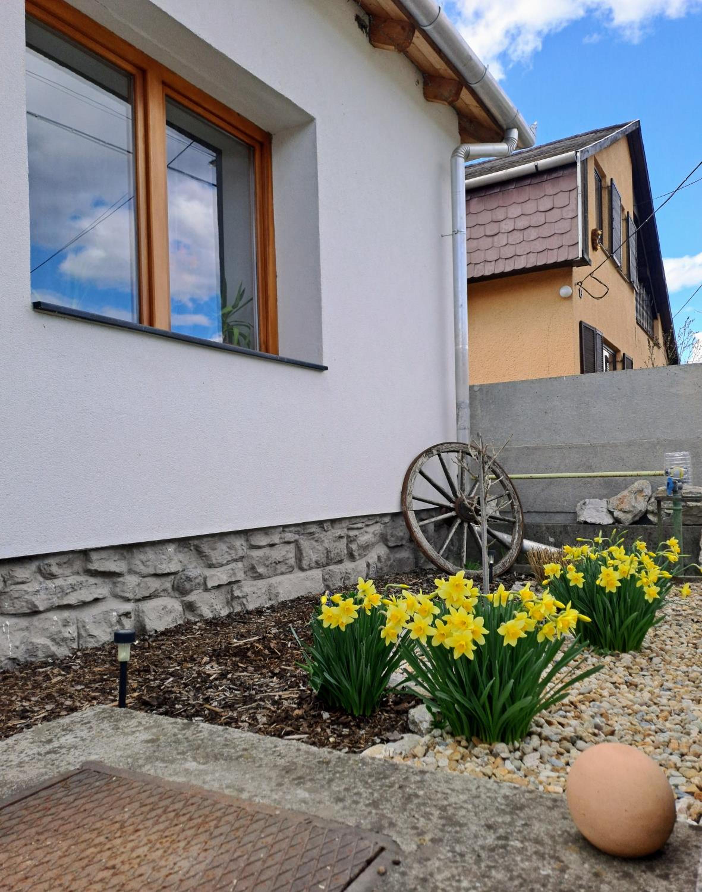 No°21 Apartman