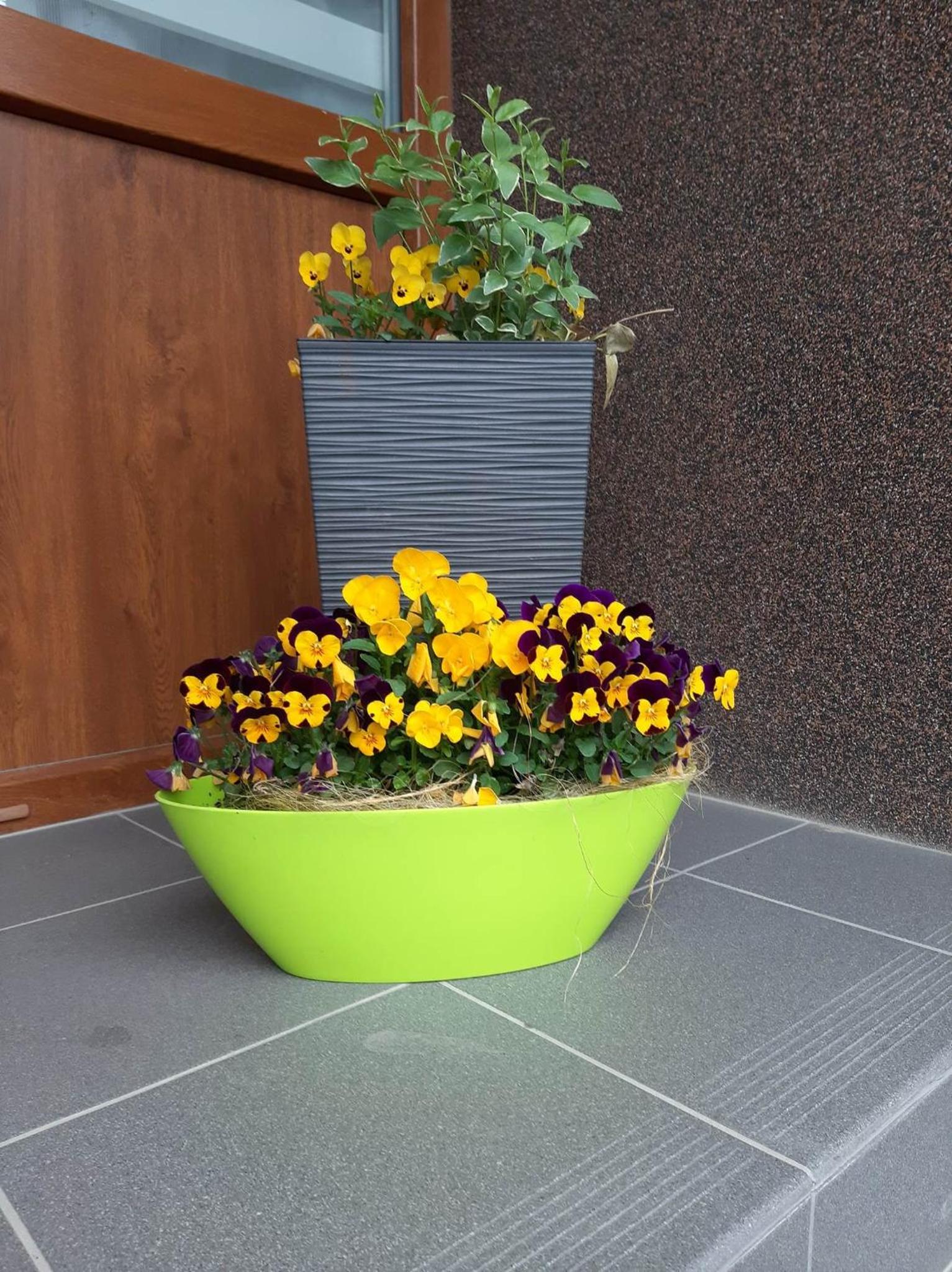 Apartmany Kras