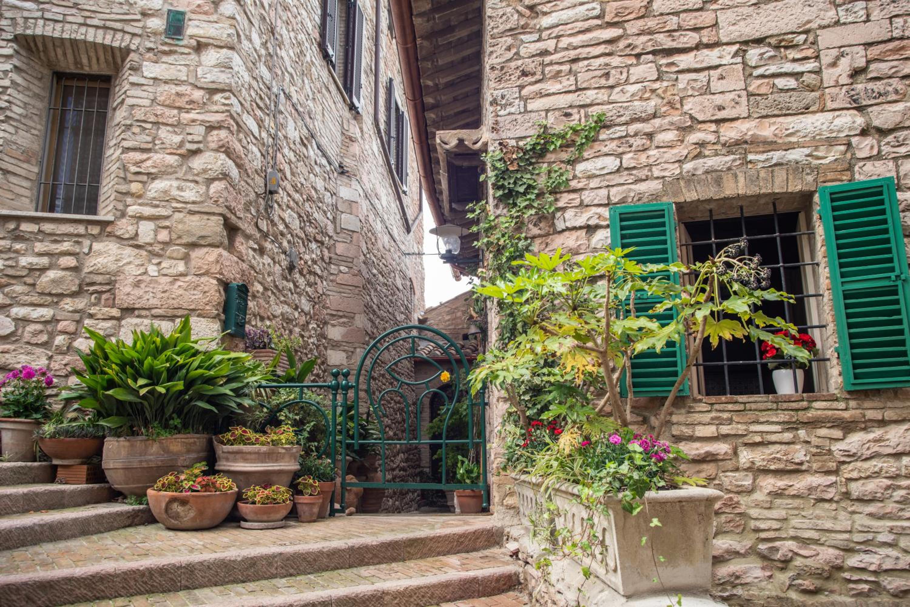 La Viola di Assisi photo 2