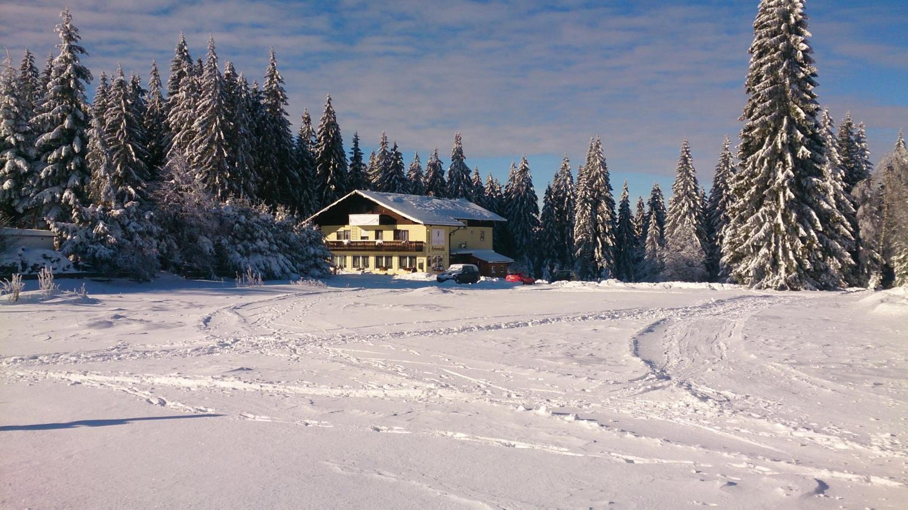 Pension Arberwald