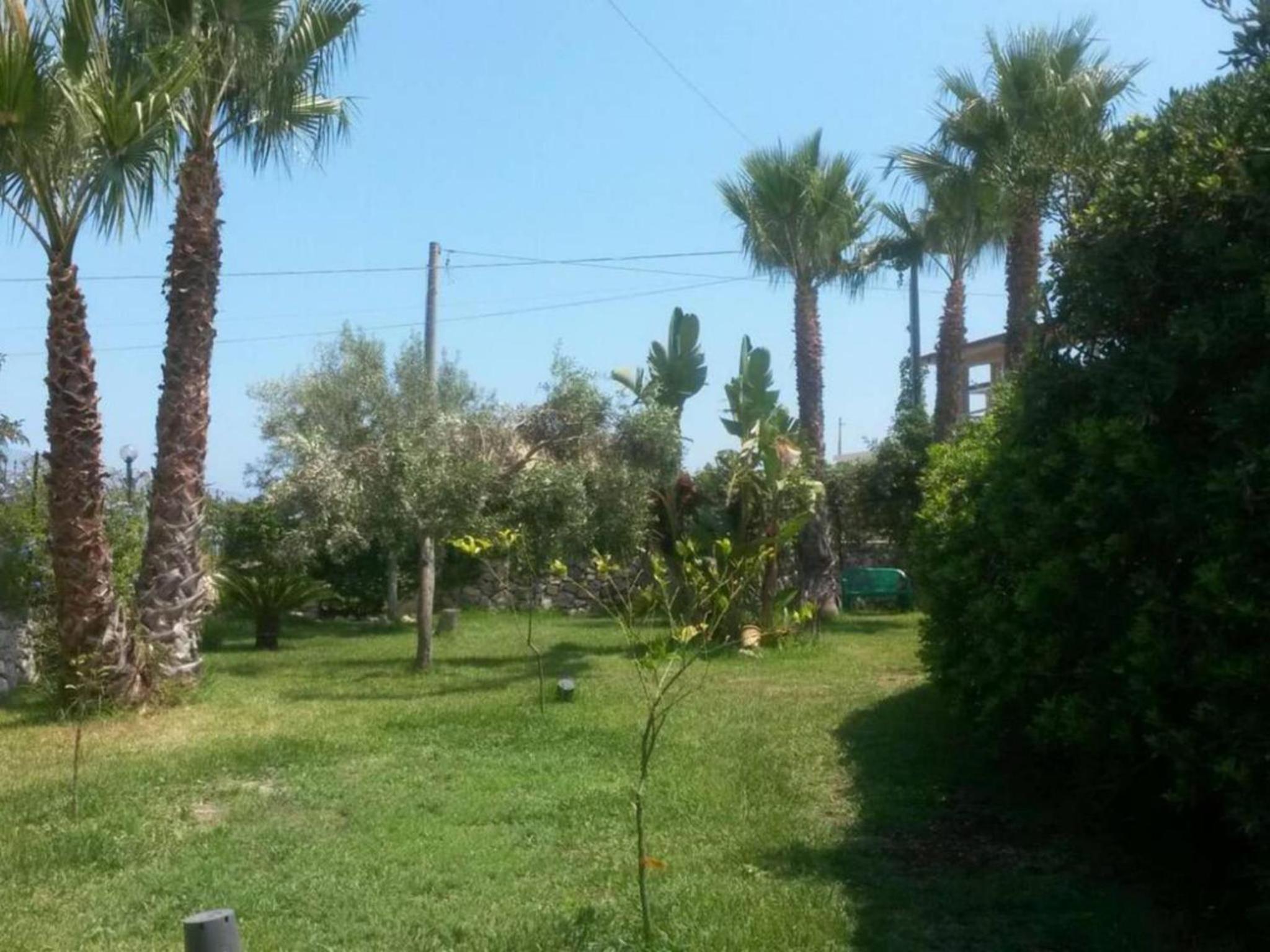 Photo 31