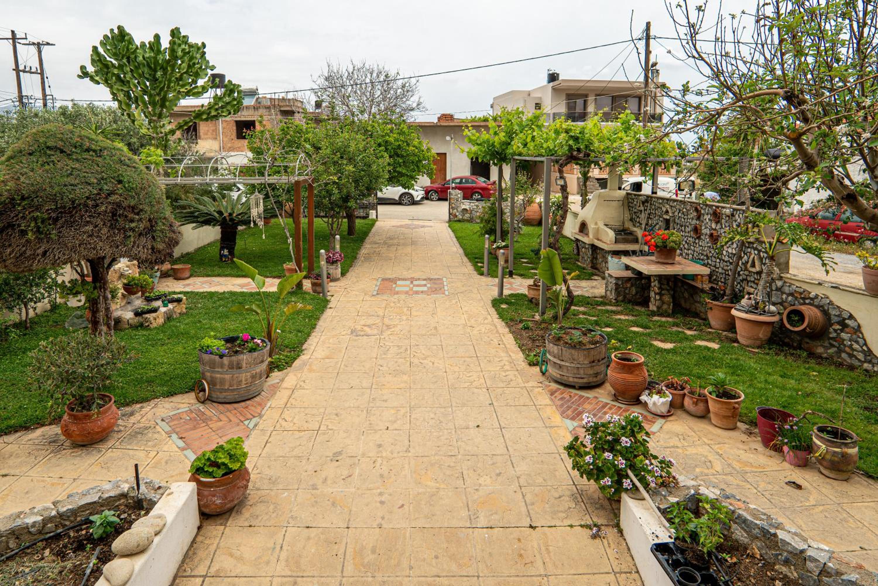 Photo 11
