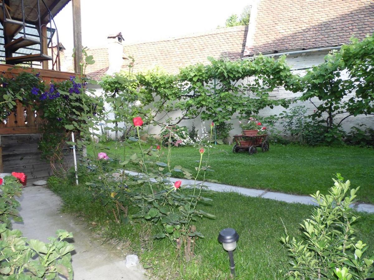 Photo 34