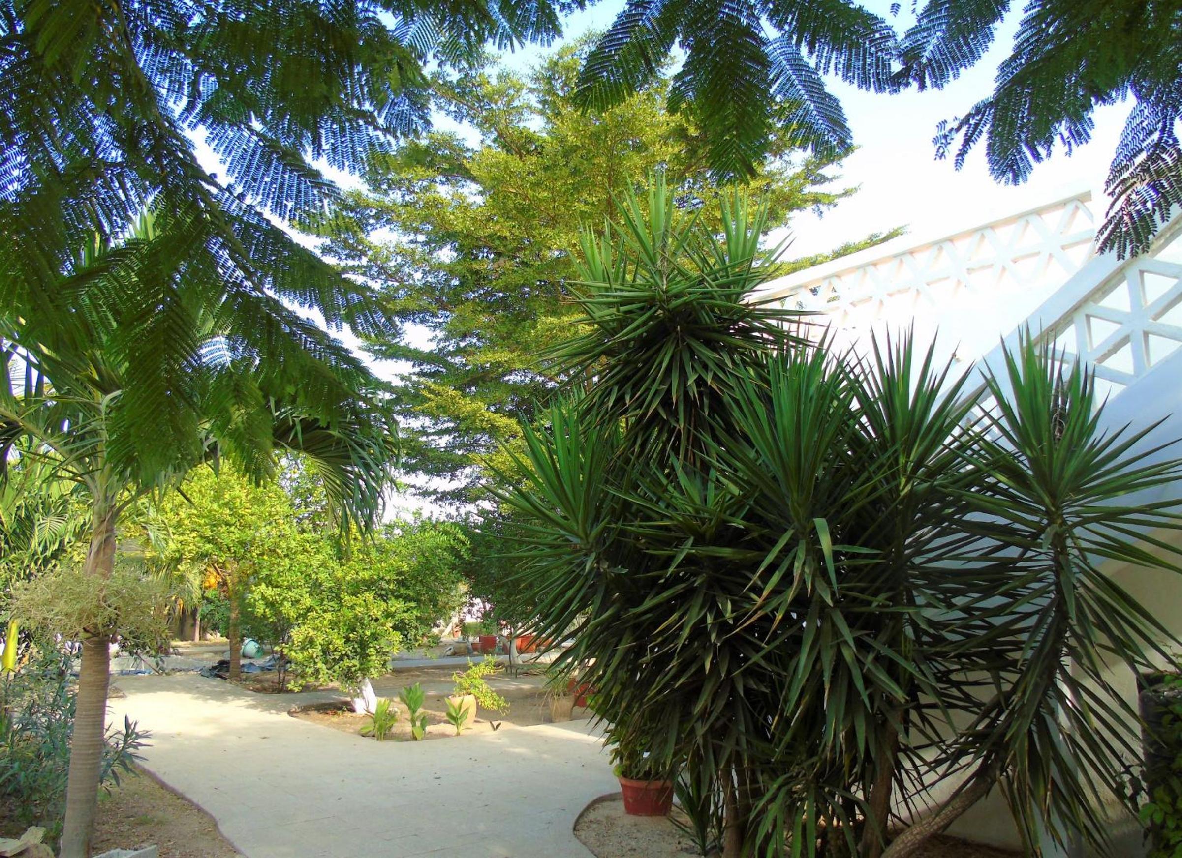 Photo 14