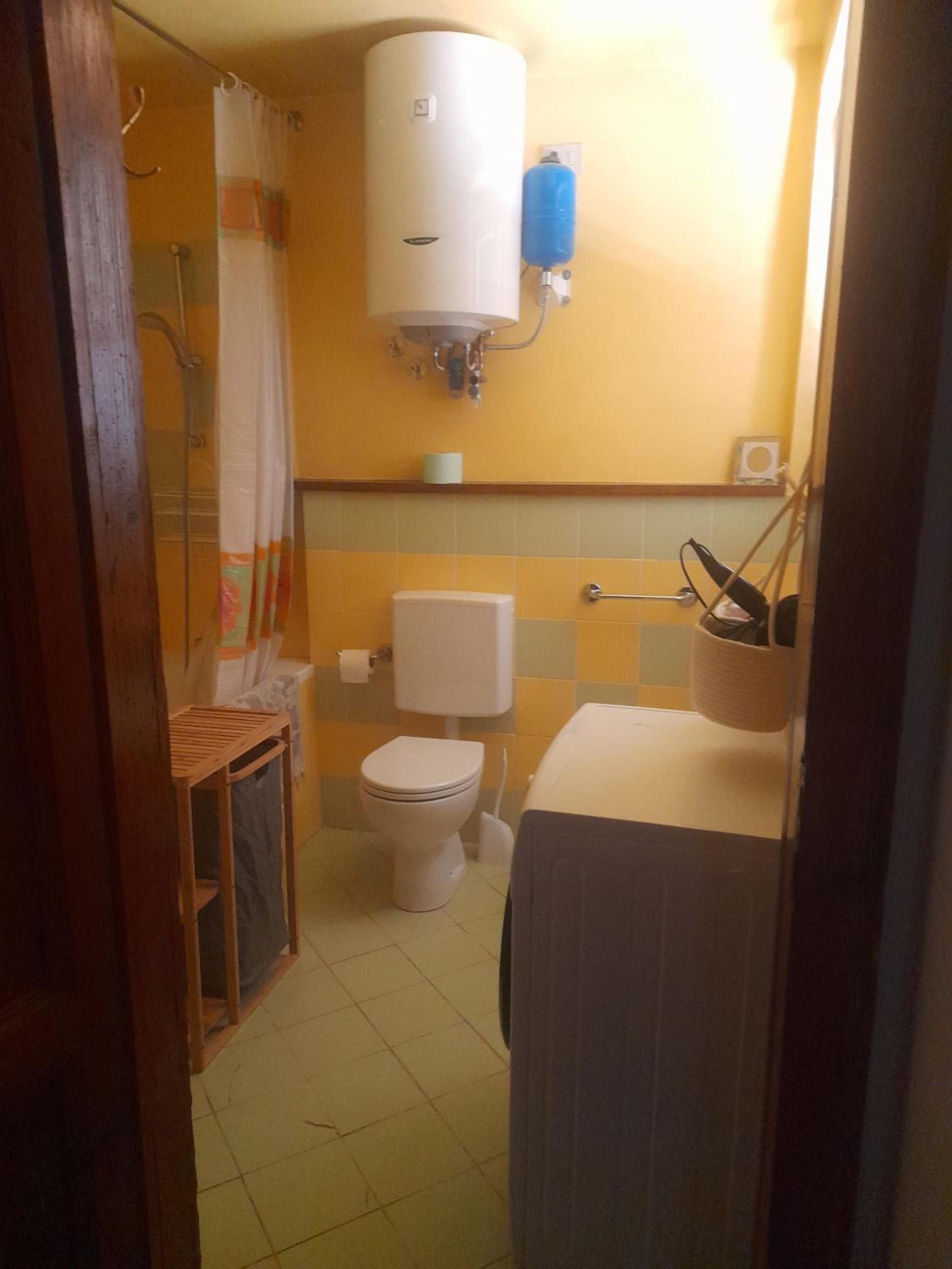 Fico d'india view 3
