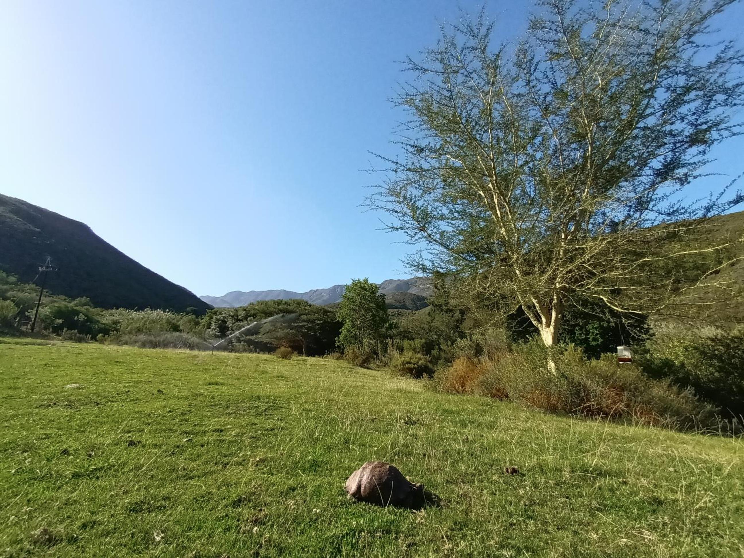 Photo 41