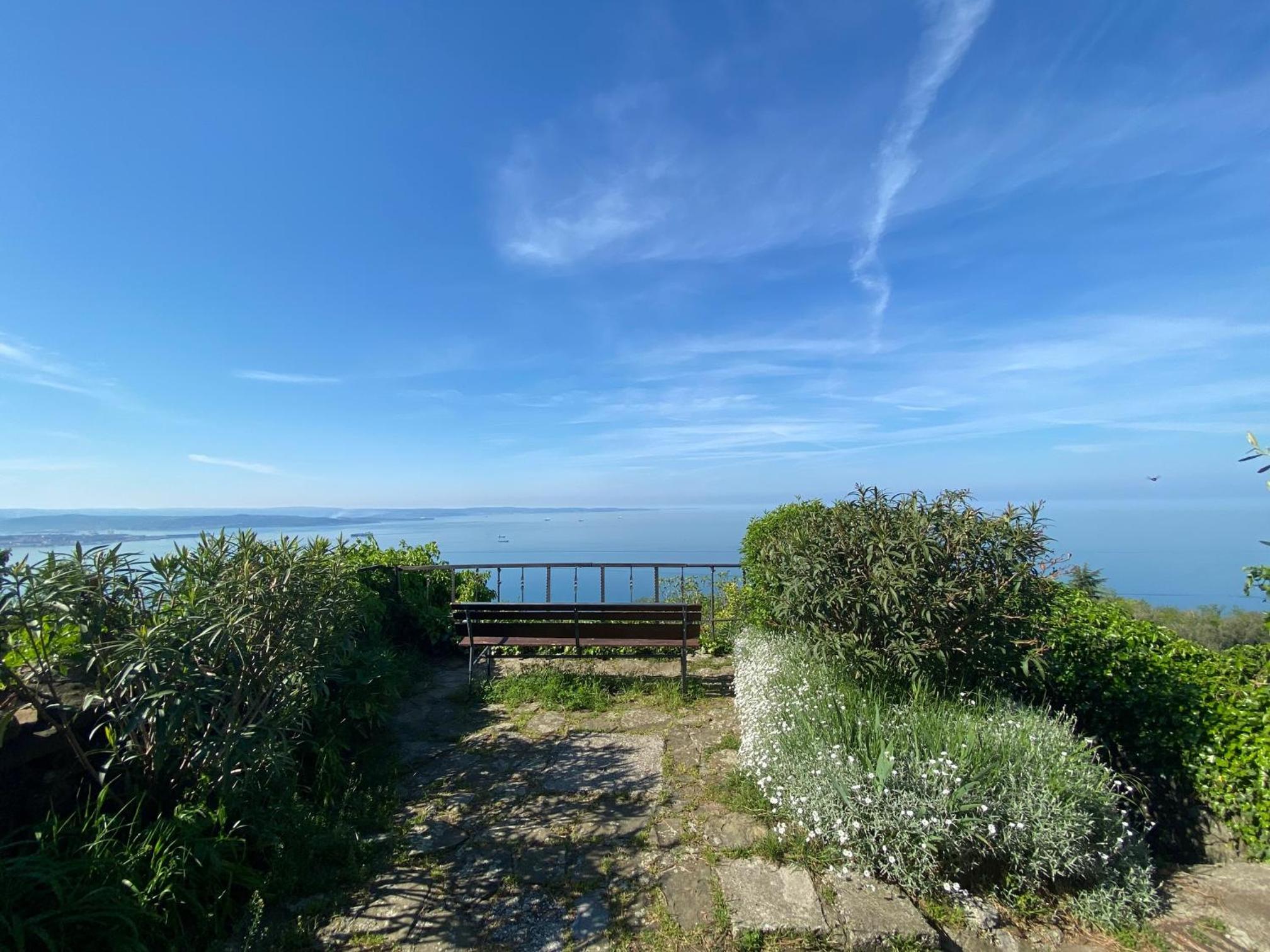 Casa Contovello photo 3