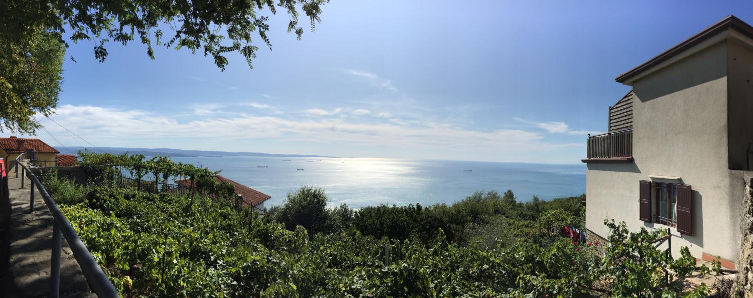 Casa Contovello photo 5