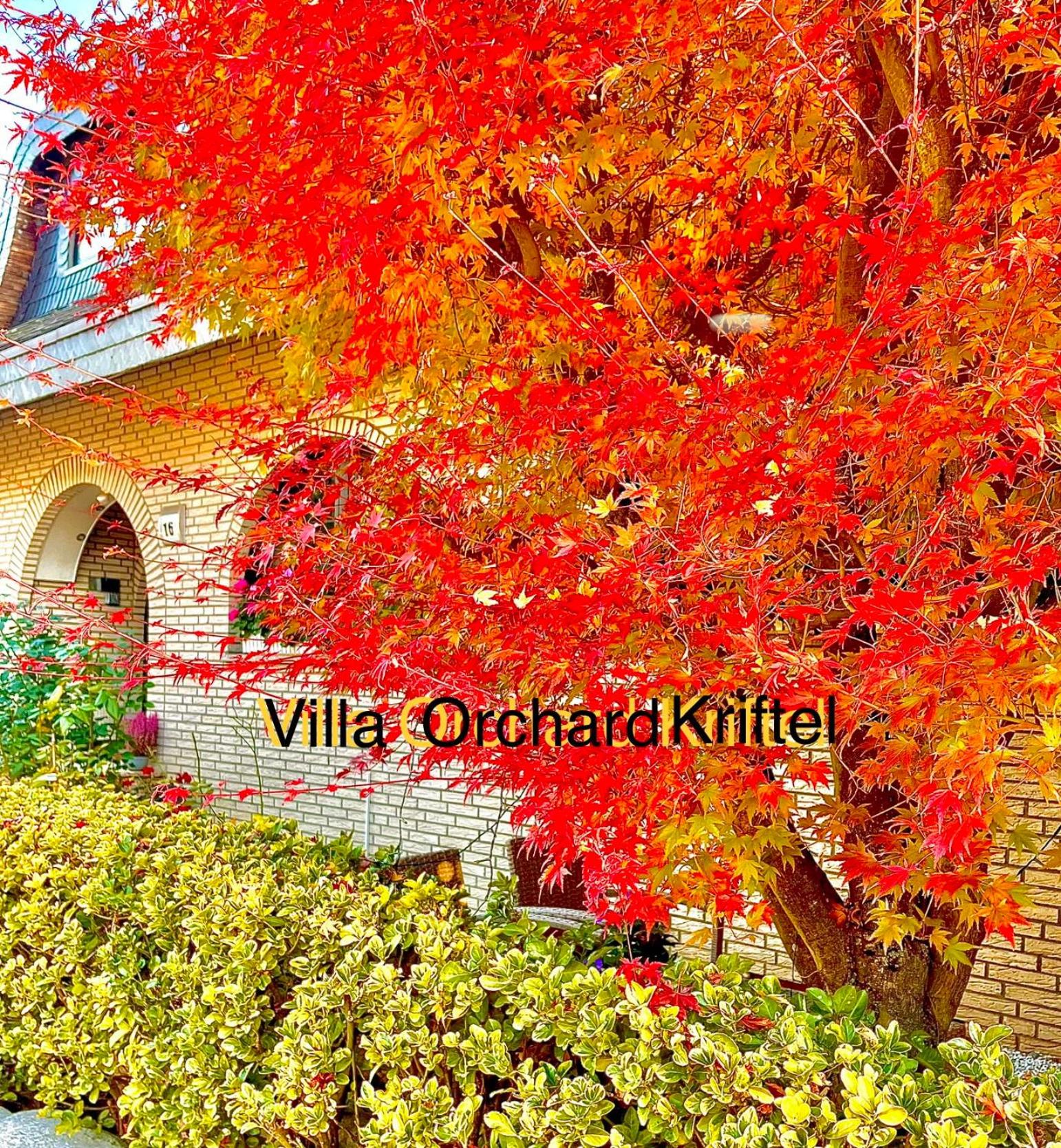 VILLA ORCHARD Frankfurt - Trade Fair Airport