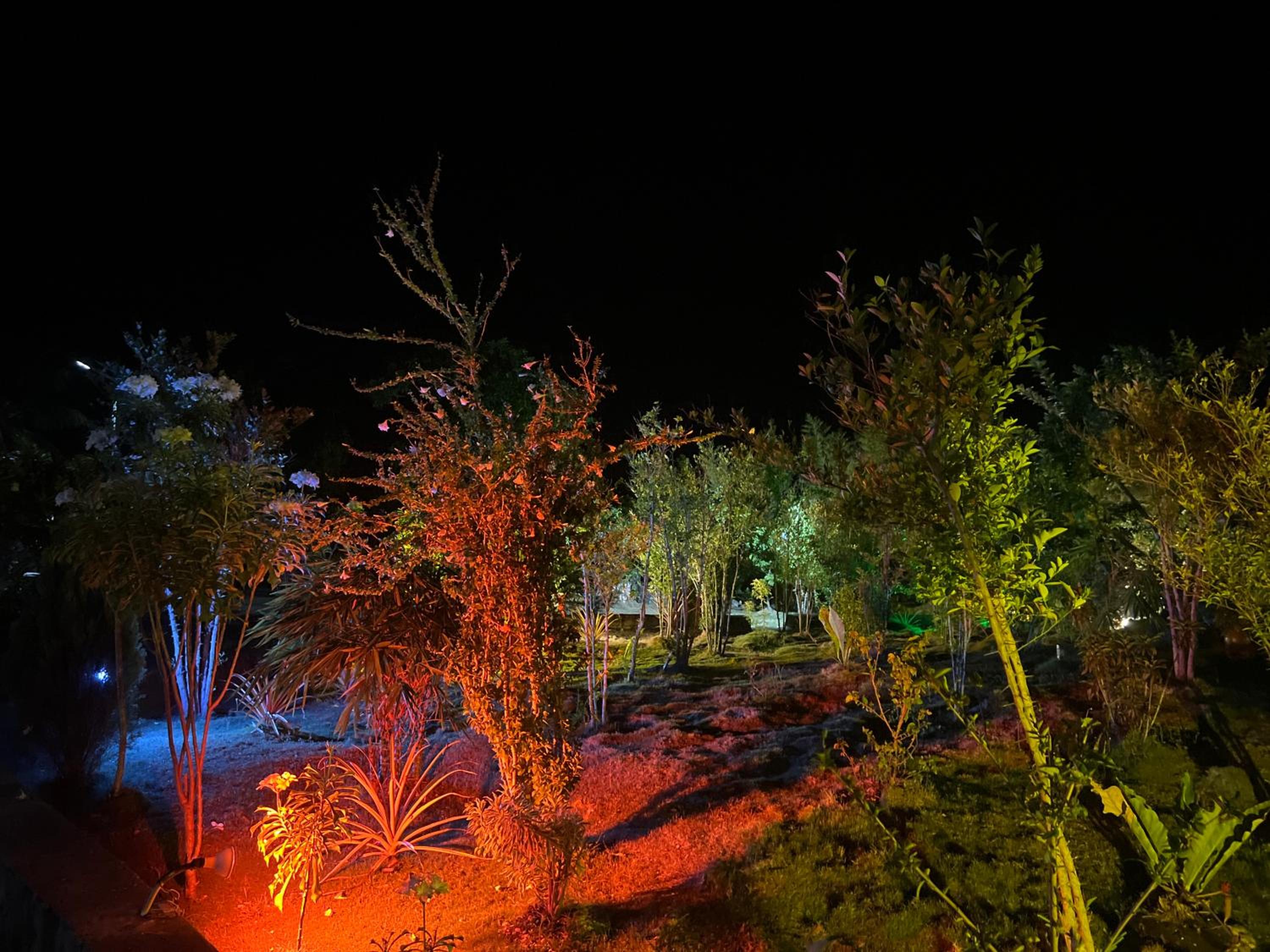 Photo 44