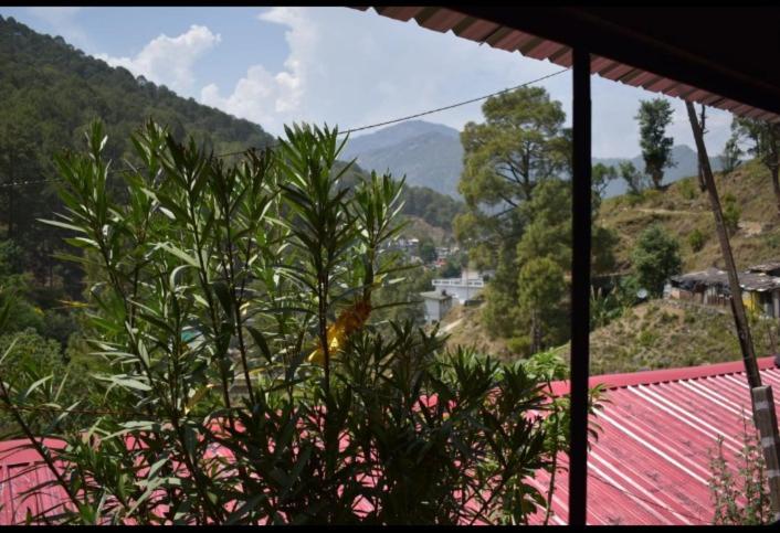 The wings nature resort view 2