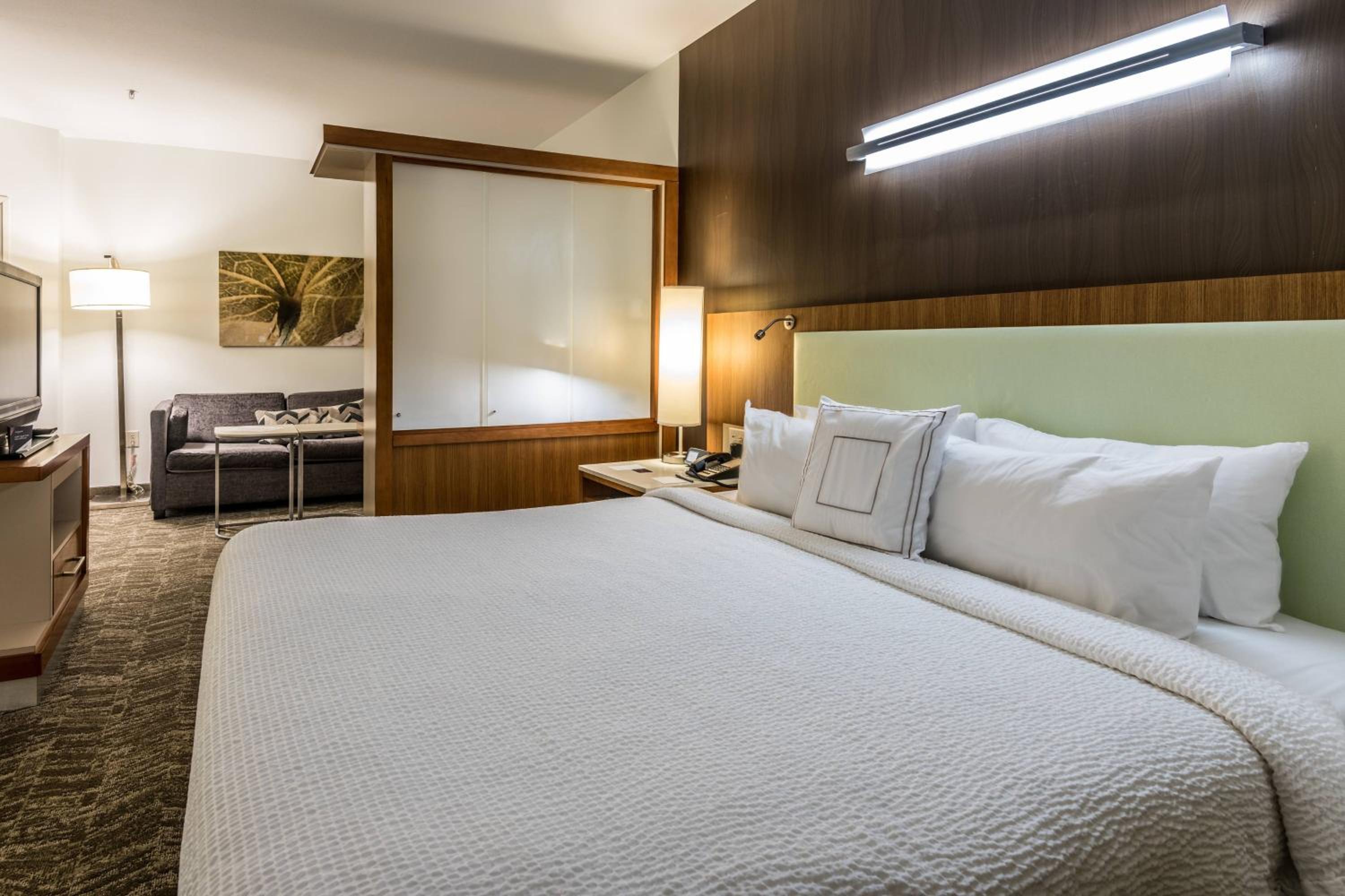 Statesboro Vacations - SpringHill Suites Statesboro University Area - Property Image 9