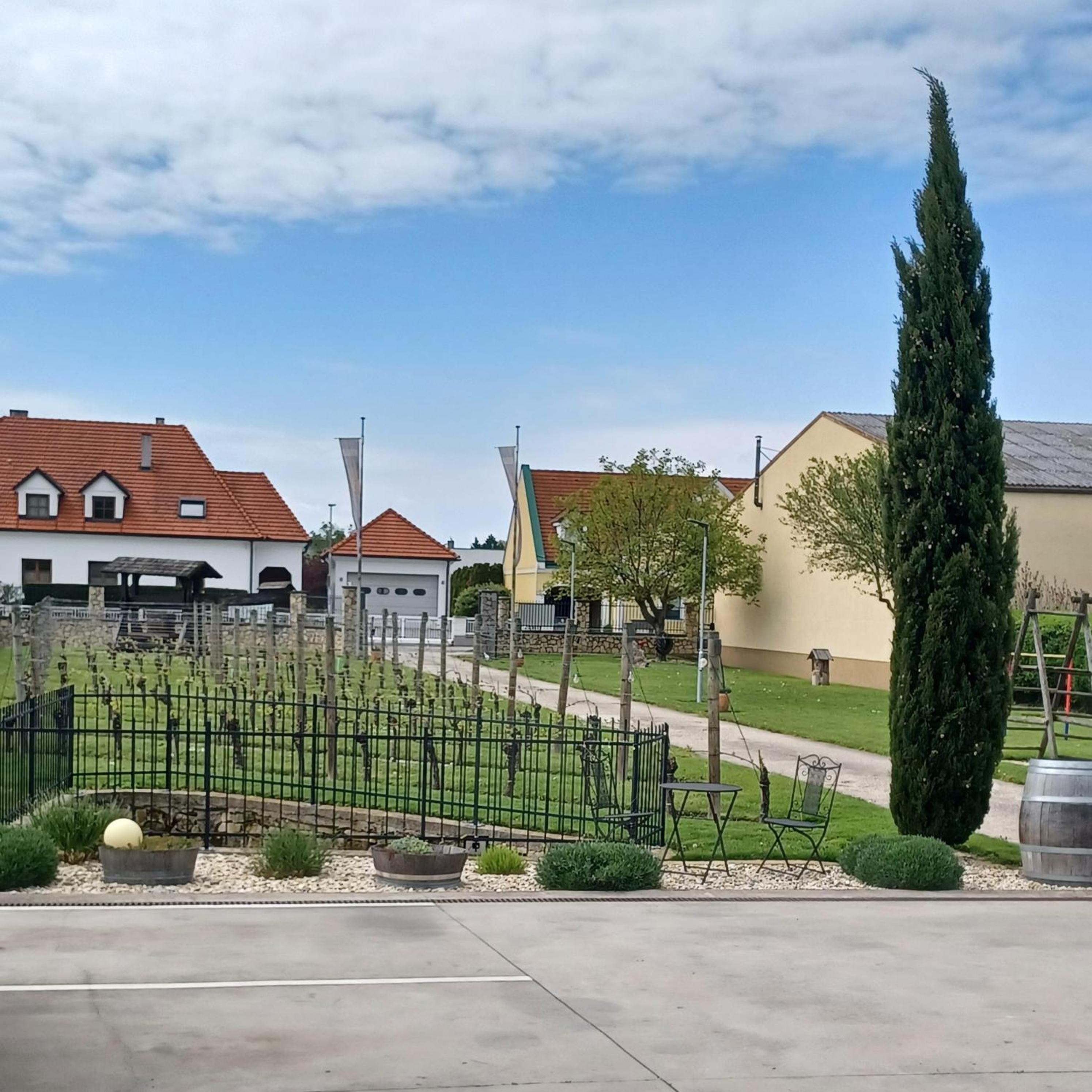 Weingut Königshofer