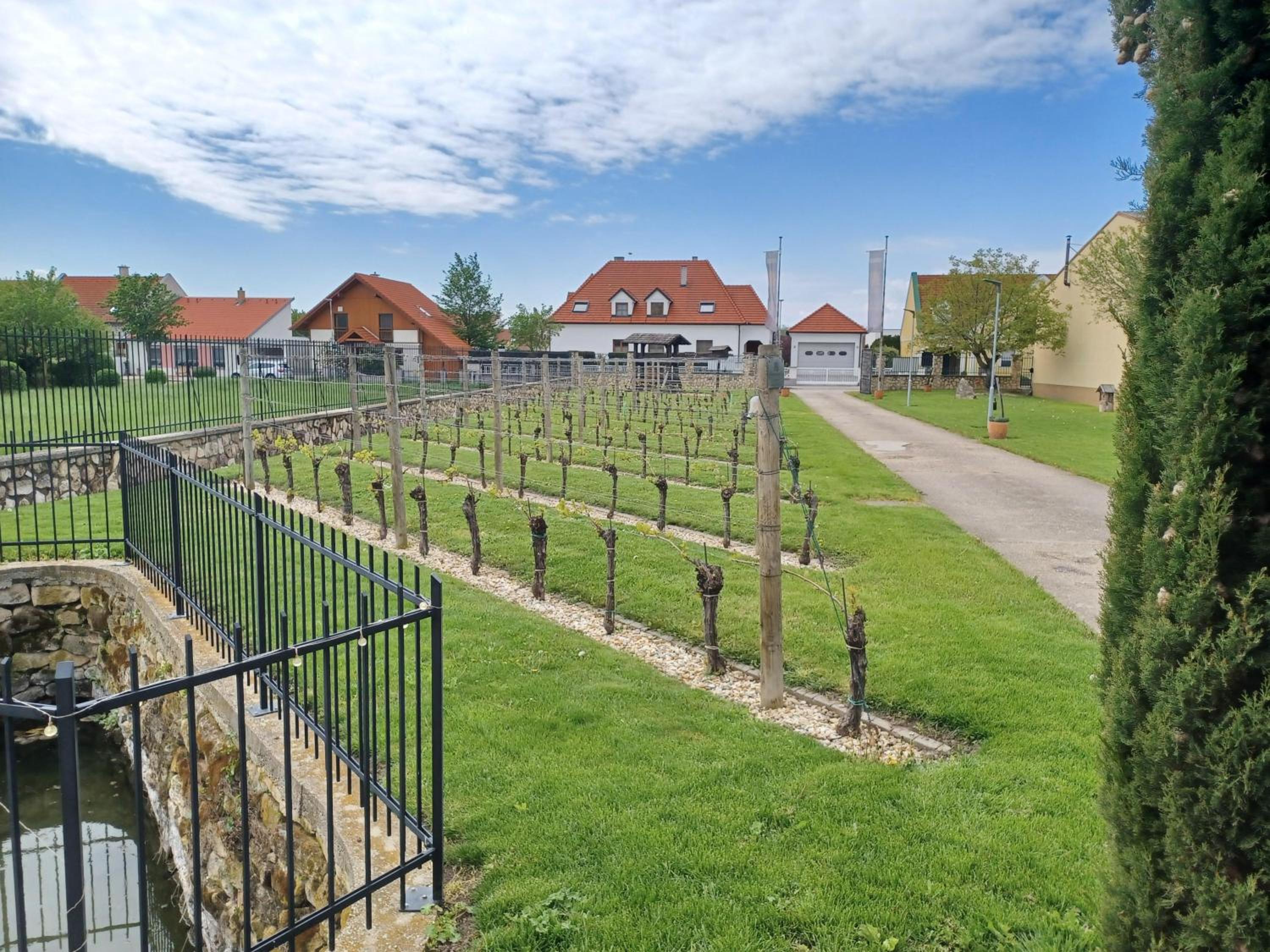 Weingut Königshofer
