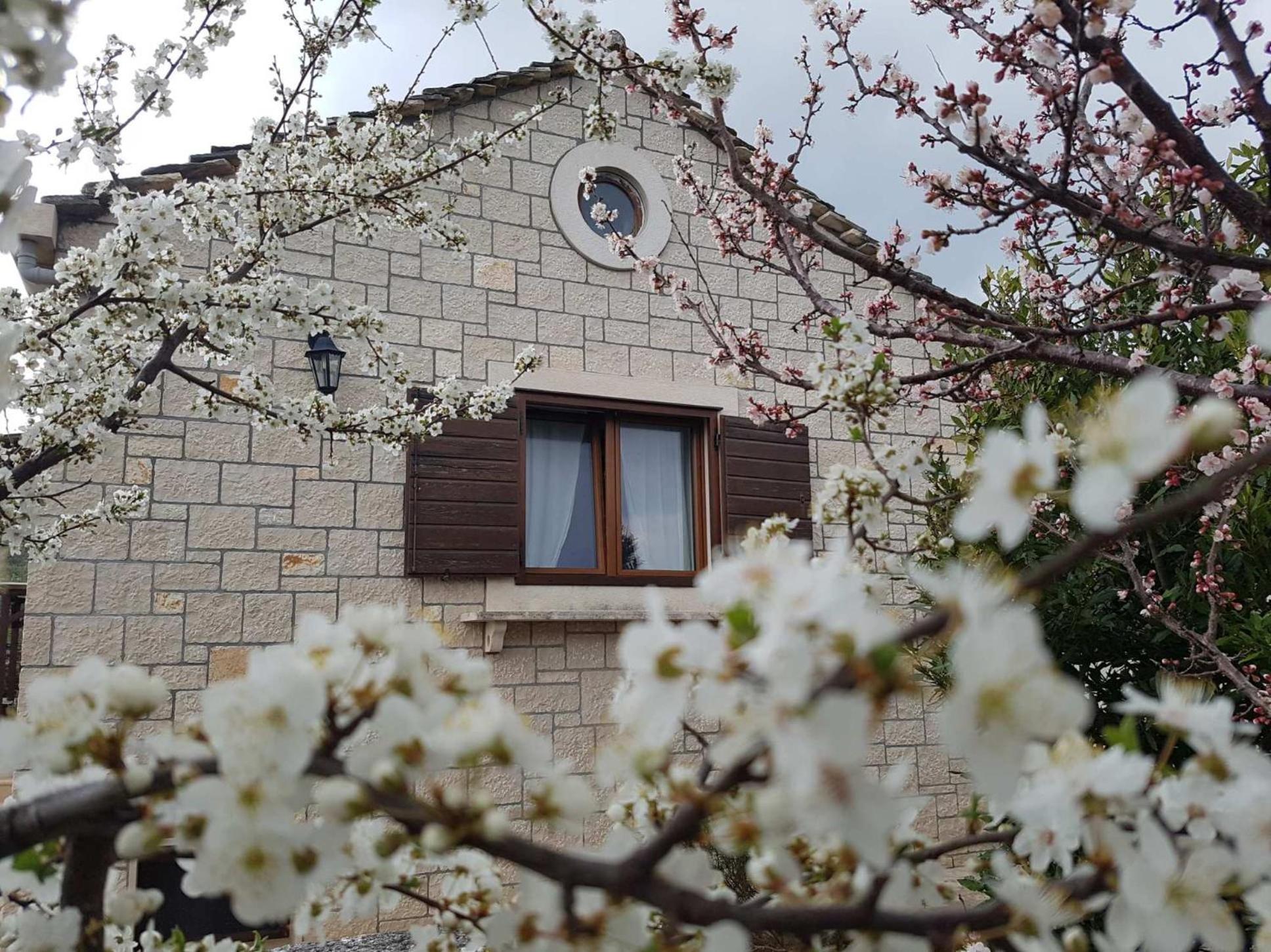 Dalmatian stone house with swimming pool near Supetar view 5