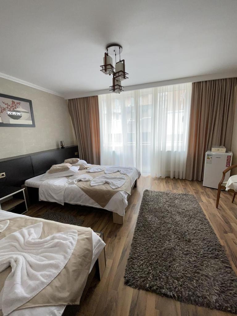 Casa Alex