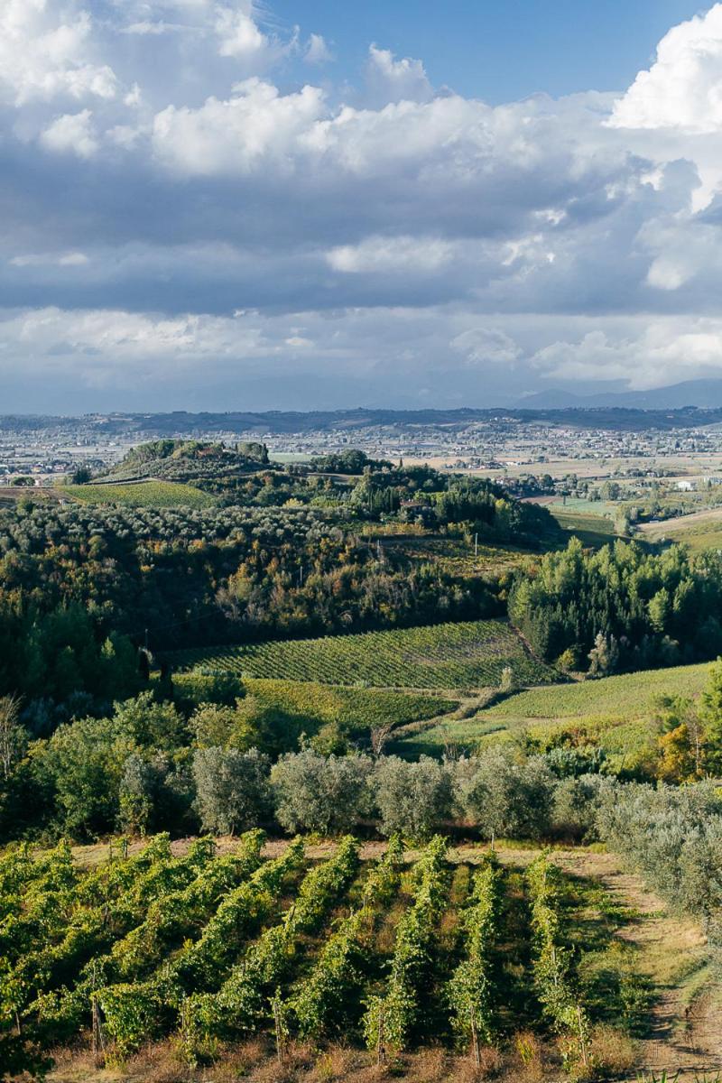 Agriturismo Bellavista