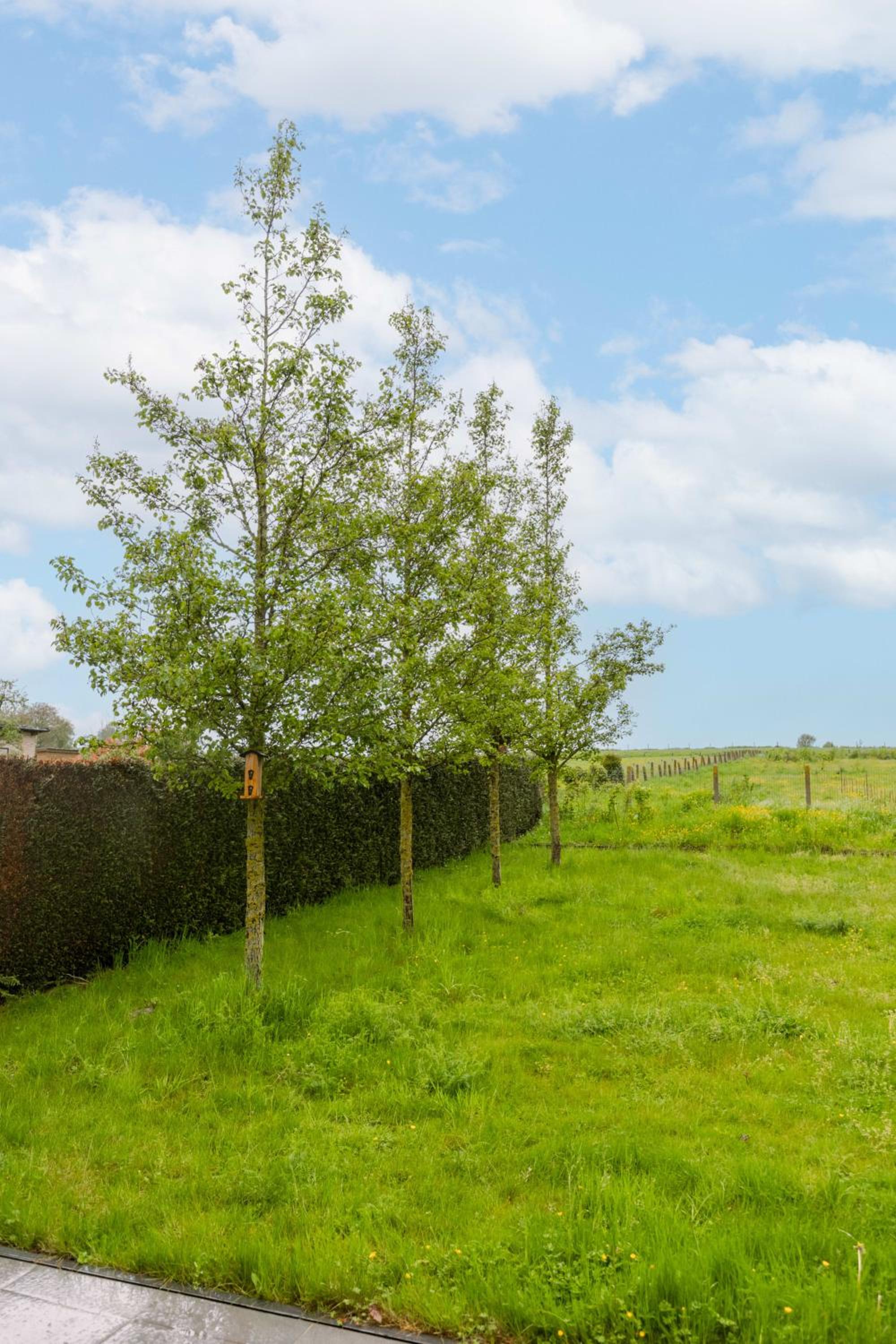 Guesthouse in the heart of the flemish ardennes