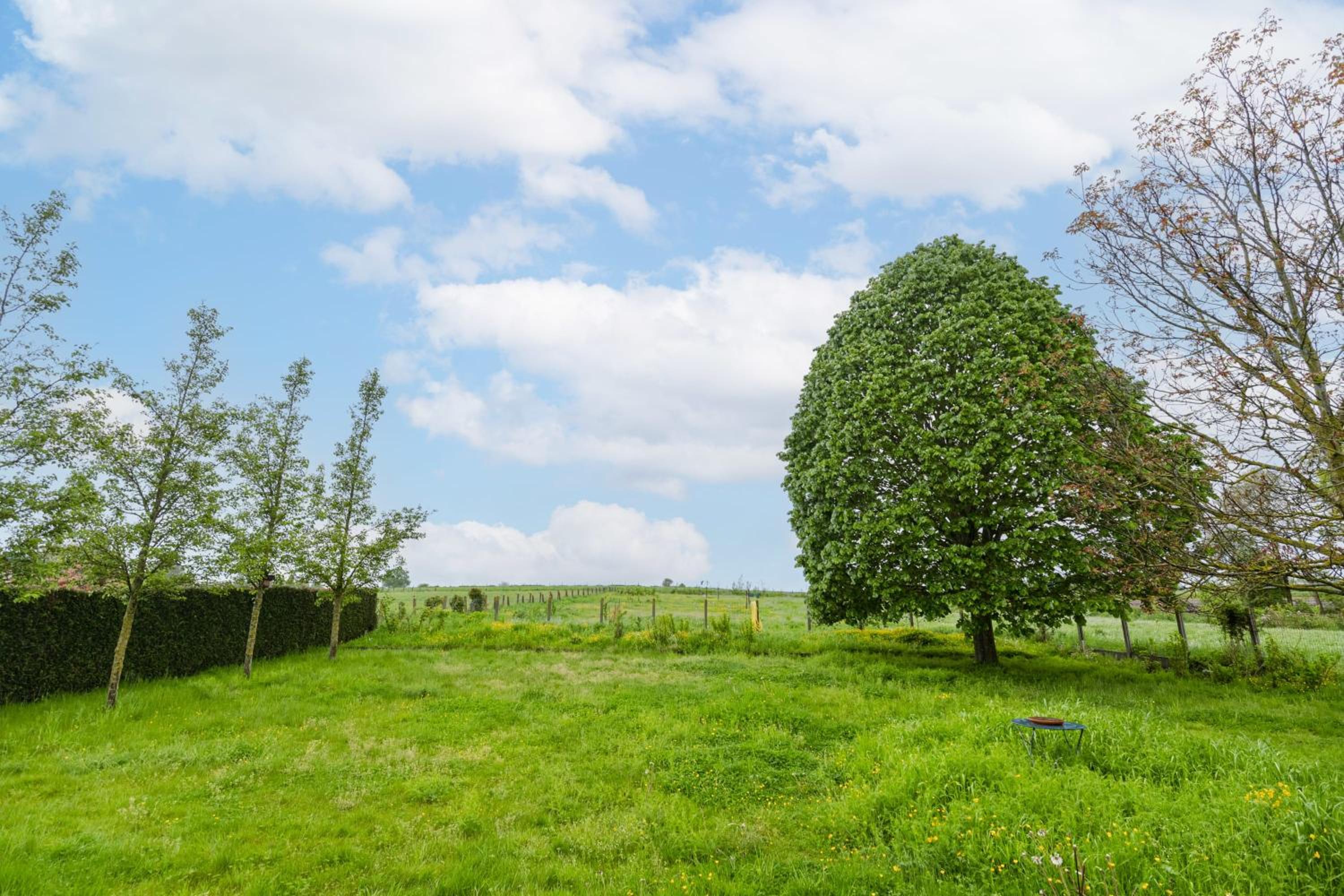 Guesthouse in the heart of the flemish ardennes