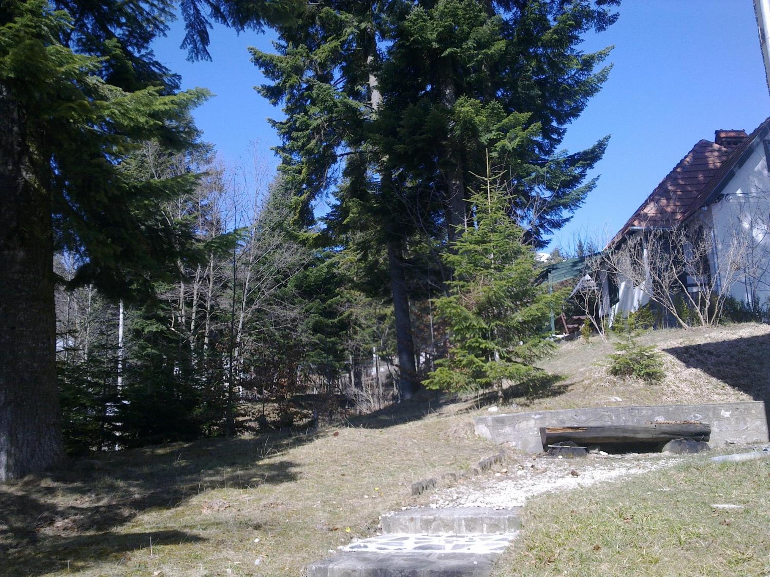 Photo 20