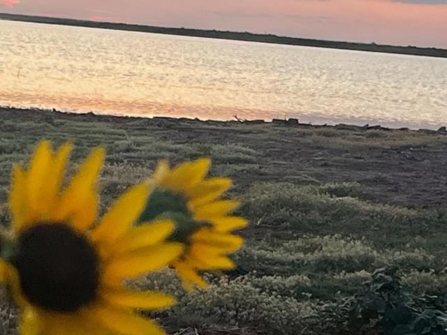 Farm Charm